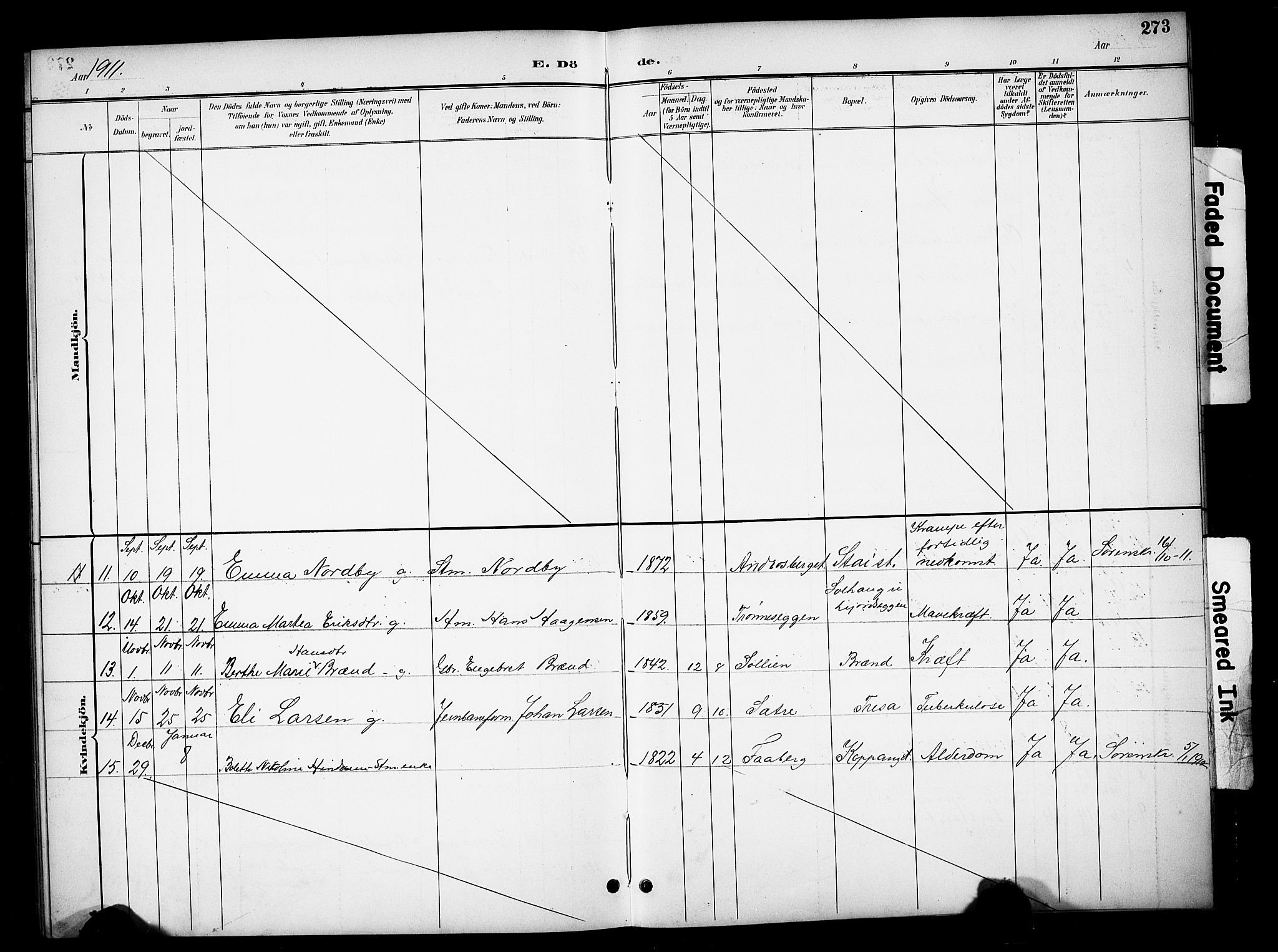 Stor-Elvdal prestekontor, AV/SAH-PREST-052/H/Ha/Hab/L0003: Klokkerbok nr. 3, 1895-1917, s. 273