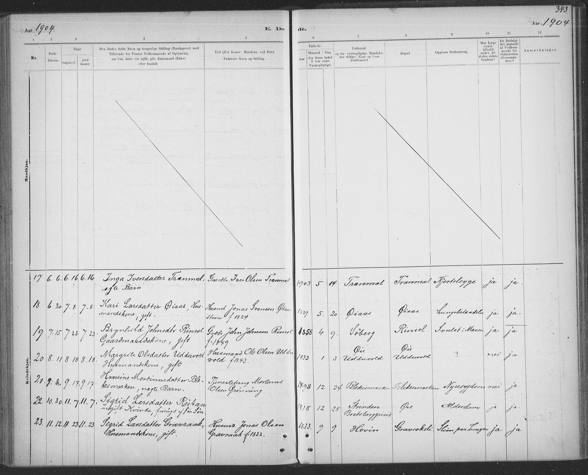 Ministerialprotokoller, klokkerbøker og fødselsregistre - Sør-Trøndelag, SAT/A-1456/691/L1085: Ministerialbok nr. 691A17, 1887-1908, s. 343