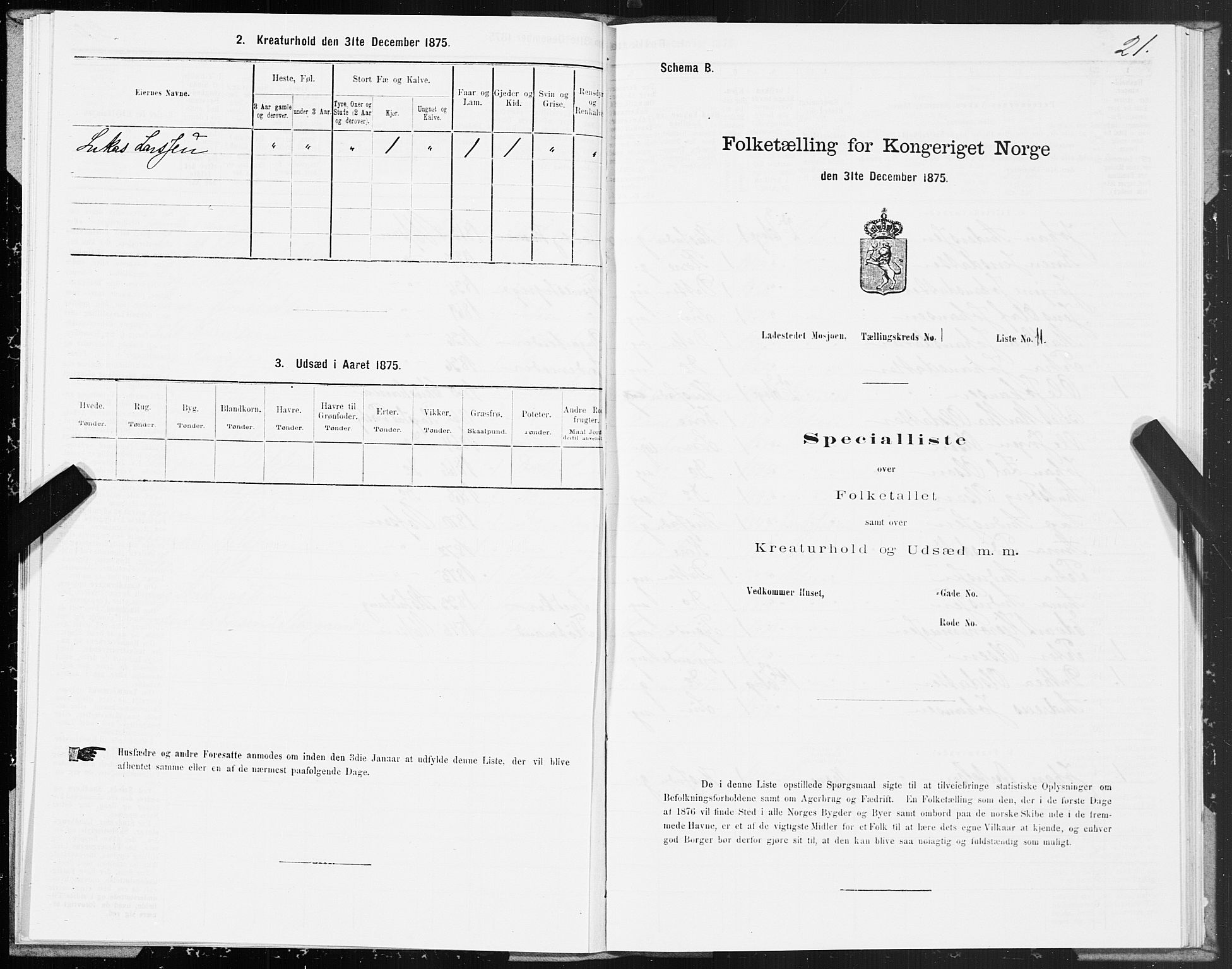 SAT, Folketelling 1875 for 1802B Vefsn prestegjeld, Mosjøen ladested, 1875, s. 21