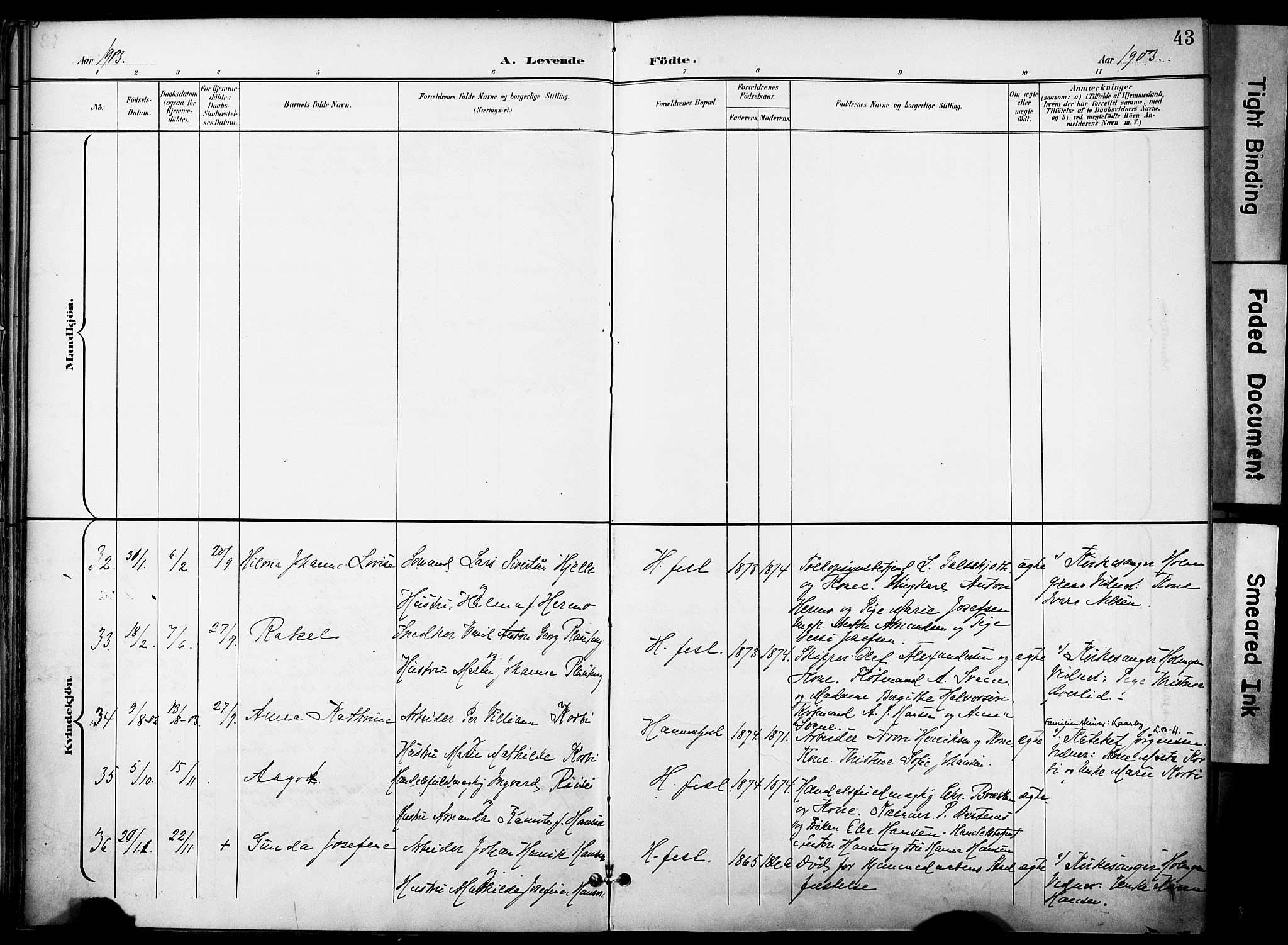 Hammerfest sokneprestkontor, AV/SATØ-S-1347/H/Ha/L0010.kirke: Ministerialbok nr. 10, 1898-1905, s. 43