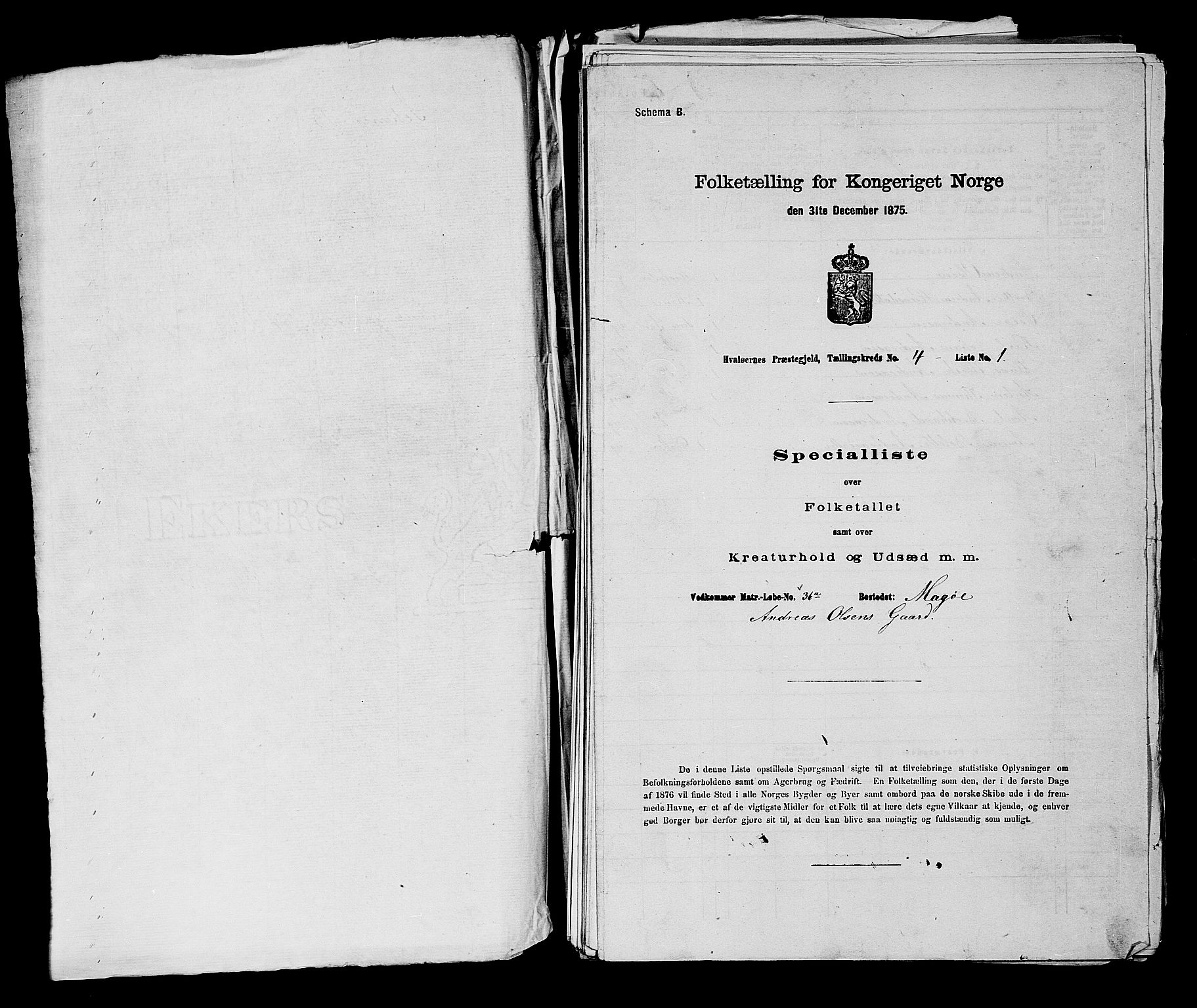 RA, Folketelling 1875 for 0111P Hvaler prestegjeld, 1875, s. 571