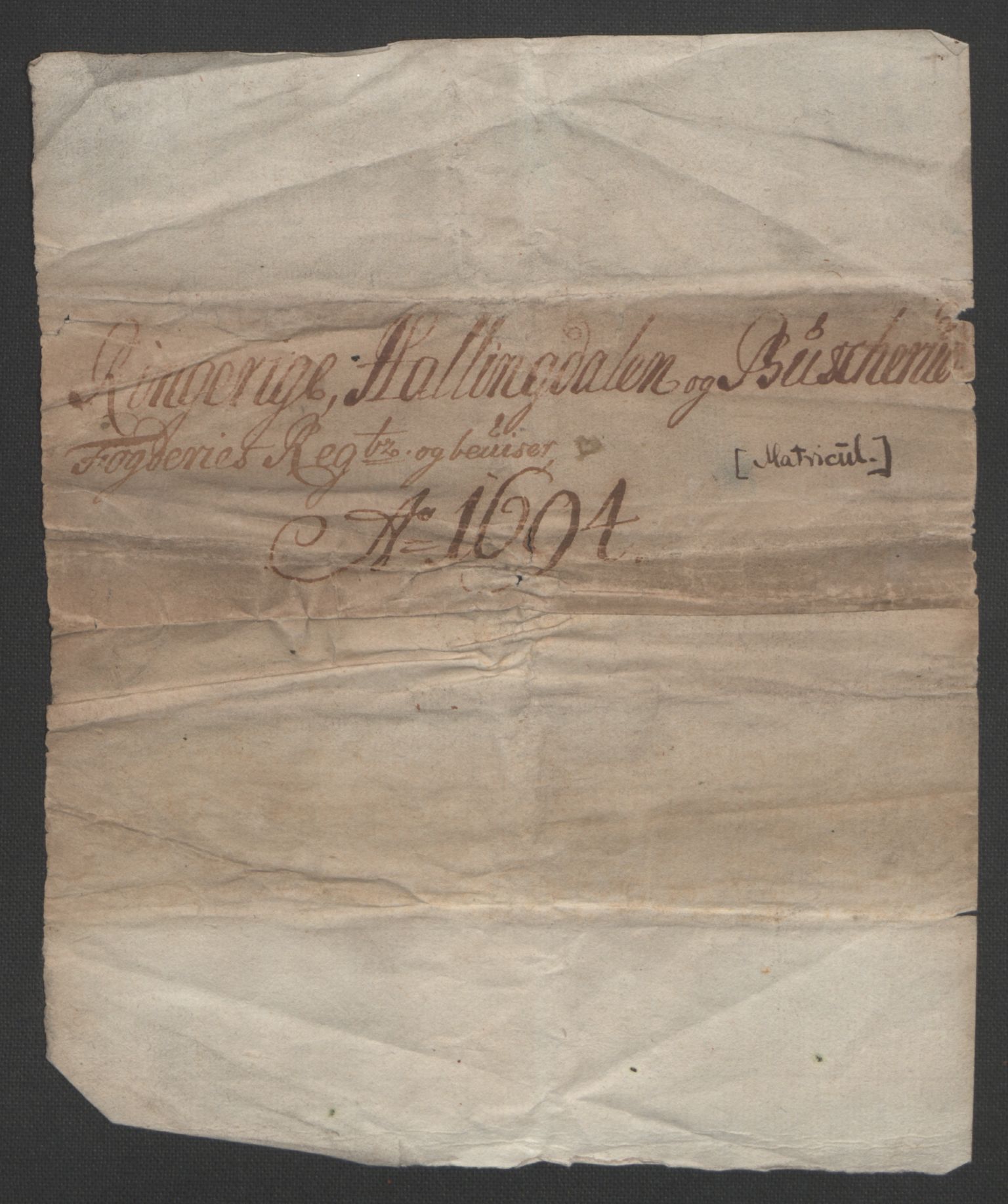 Rentekammeret inntil 1814, Reviderte regnskaper, Fogderegnskap, RA/EA-4092/R22/L1451: Fogderegnskap Ringerike, Hallingdal og Buskerud, 1694, s. 3