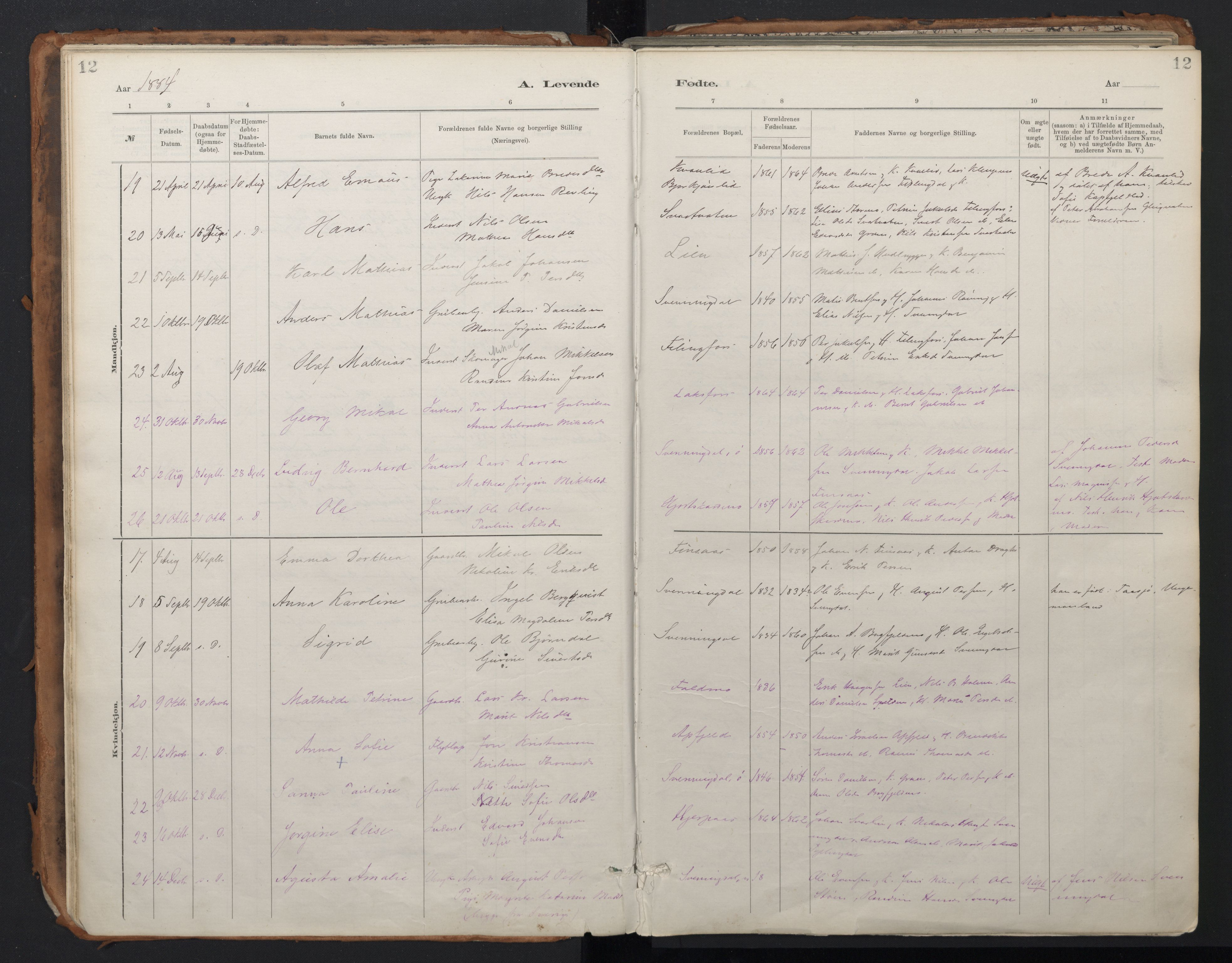 Ministerialprotokoller, klokkerbøker og fødselsregistre - Nordland, AV/SAT-A-1459/824/L0338: Ministerialbok nr. 824A01, 1880-1915, s. 12