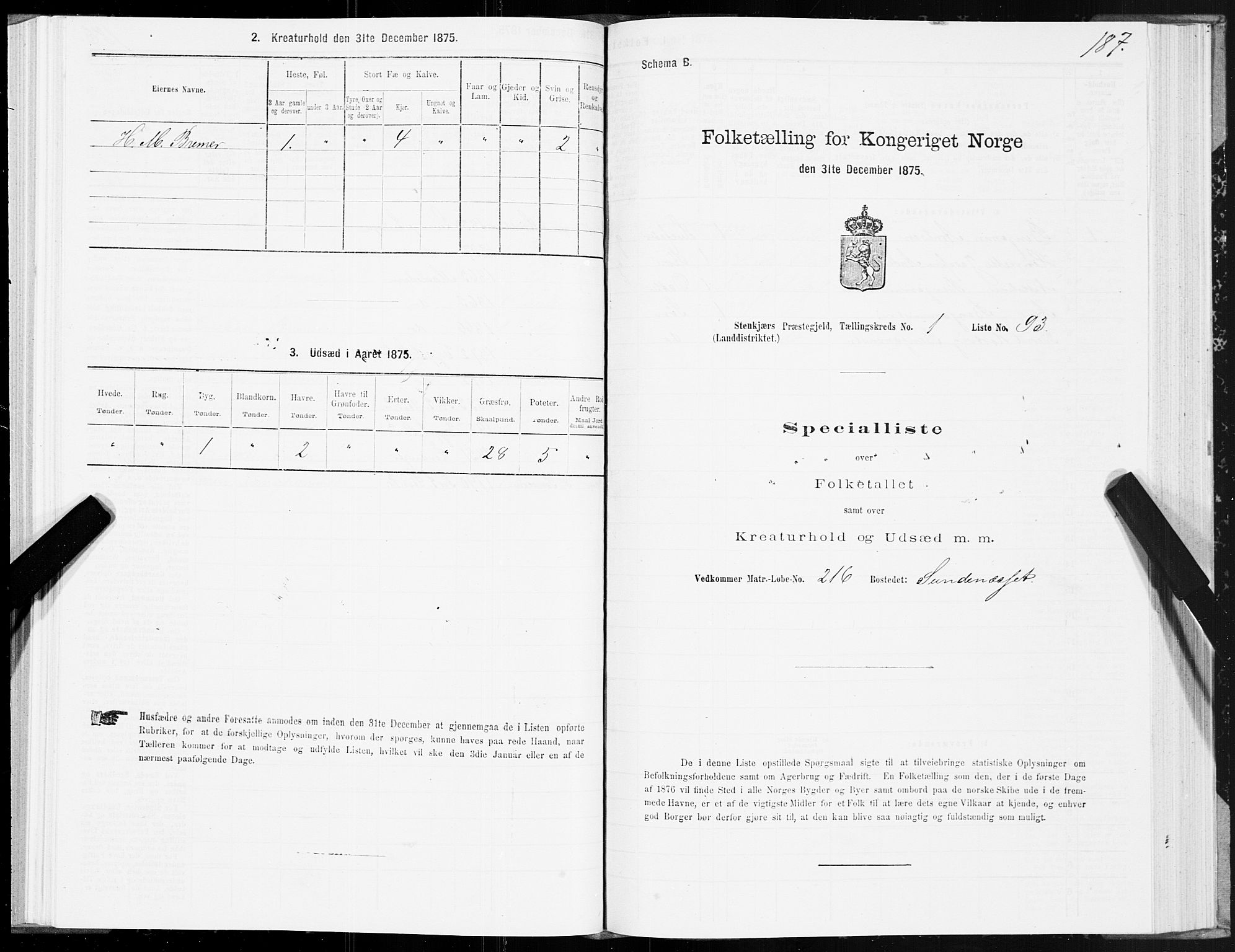 SAT, Folketelling 1875 for 1733L Steinkjer prestegjeld, Egge sokn, 1875, s. 1187
