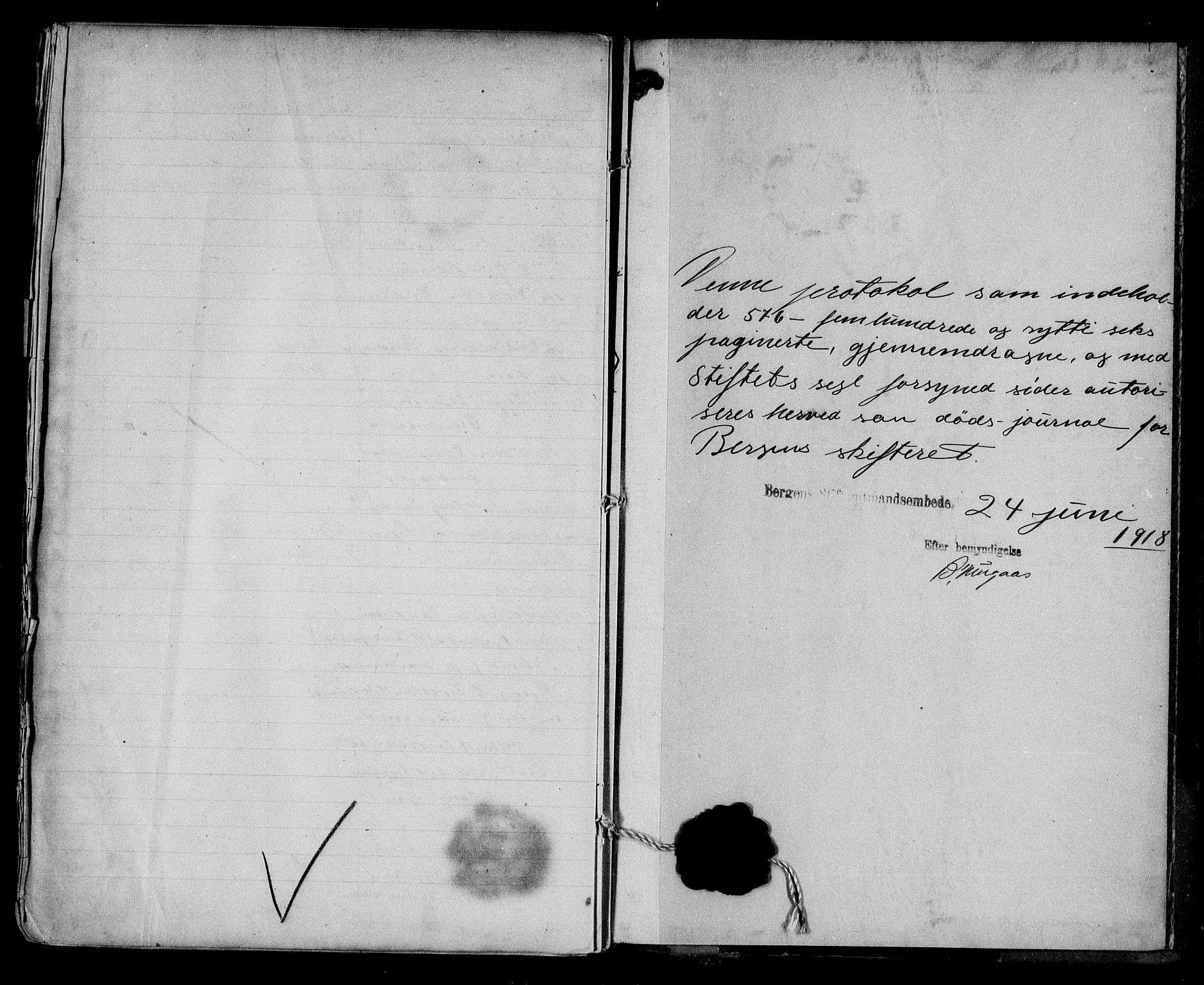 Byfogd og Byskriver i Bergen, AV/SAB-A-3401/06/06Na/L0012: Dødsfallsjournaler, 1918-1919
