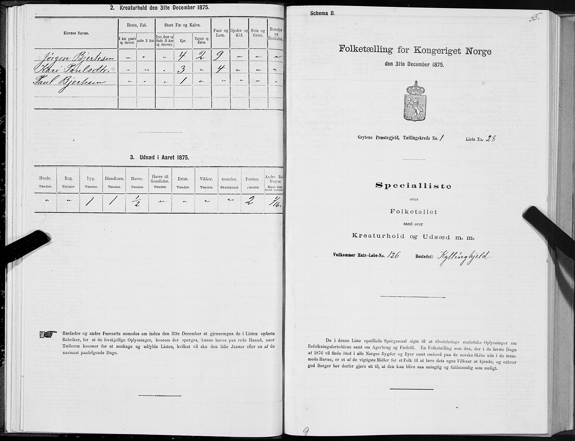 SAT, Folketelling 1875 for 1539P Grytten prestegjeld, 1875, s. 1055