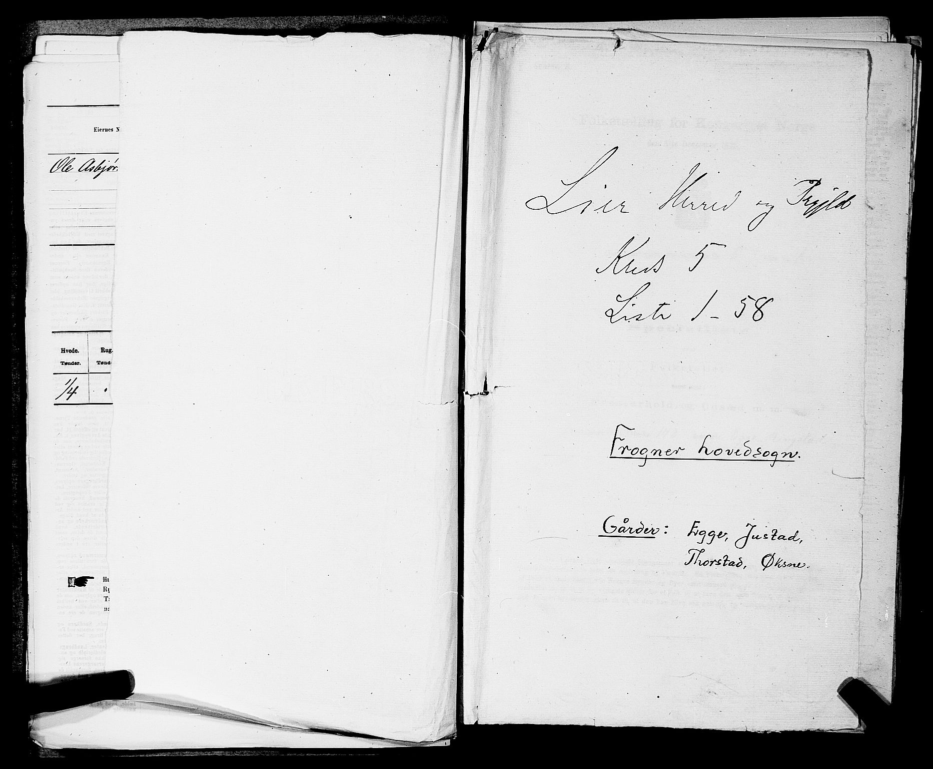 SAKO, Folketelling 1875 for 0626P Lier prestegjeld, 1875, s. 816