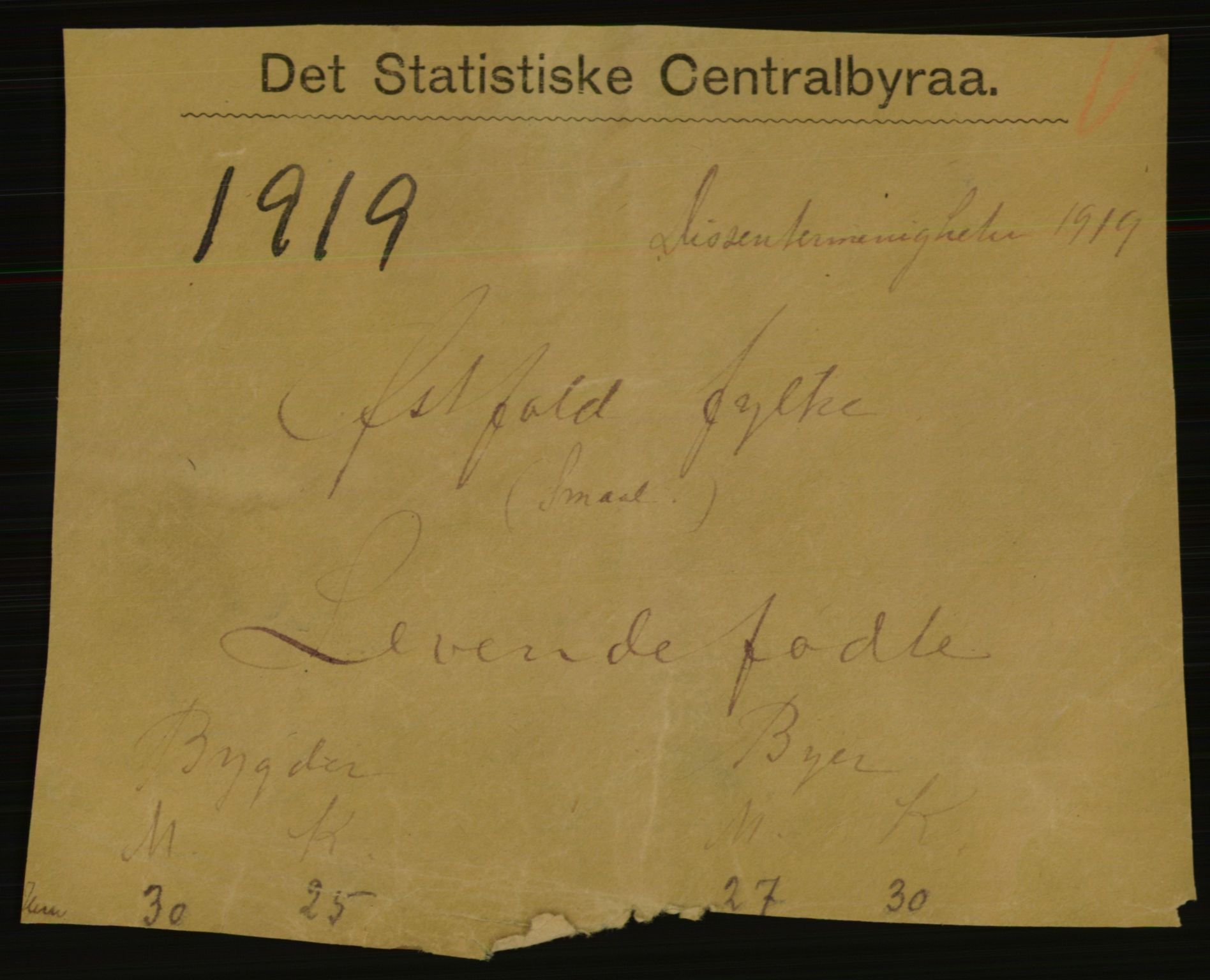 Statistisk sentralbyrå, Sosiodemografiske emner, Befolkning, RA/S-2228/E/L0017: Fødte, gifte, døde dissentere., 1919, s. 3