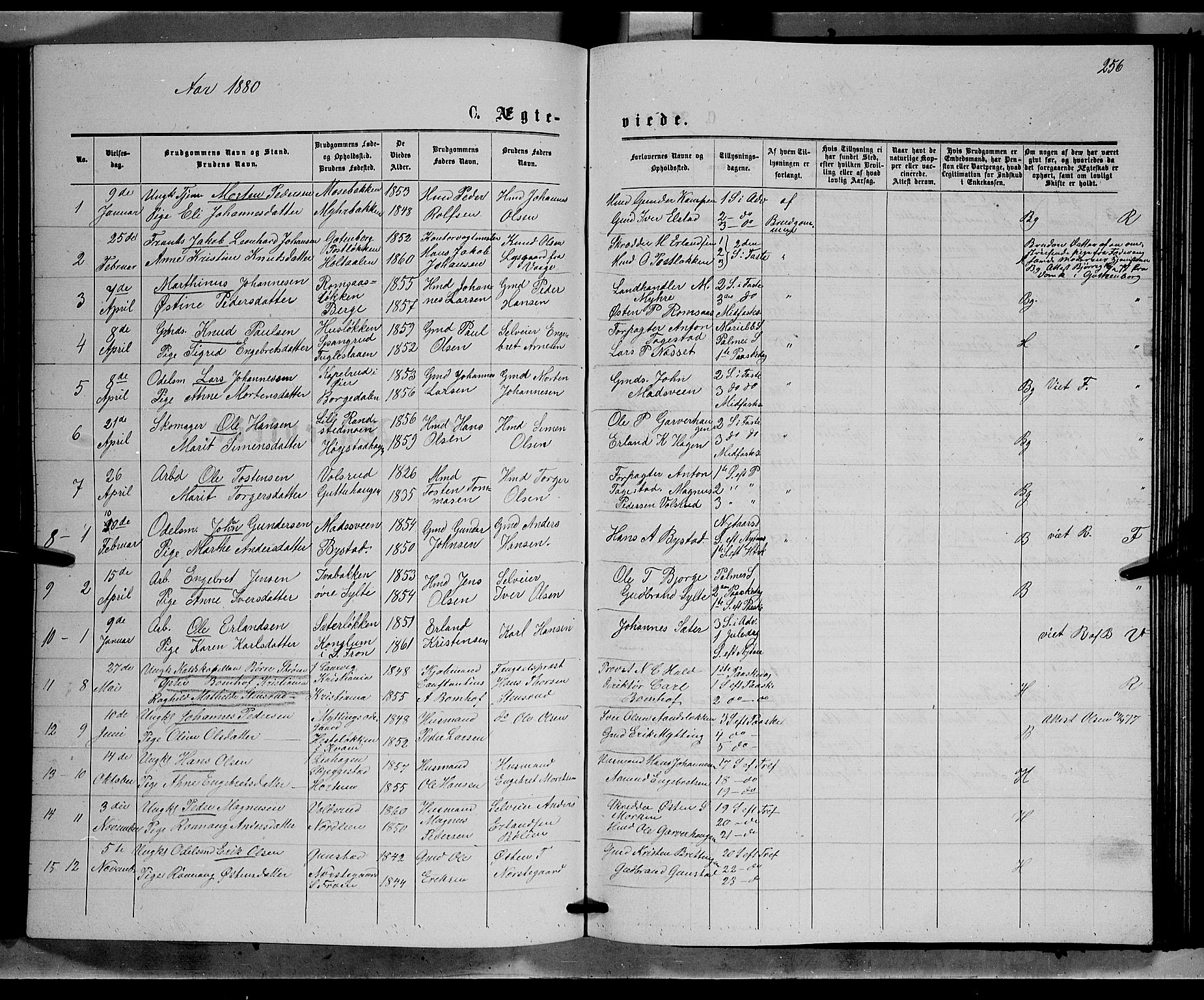 Ringebu prestekontor, AV/SAH-PREST-082/H/Ha/Hab/L0006: Klokkerbok nr. 6, 1880-1898, s. 256