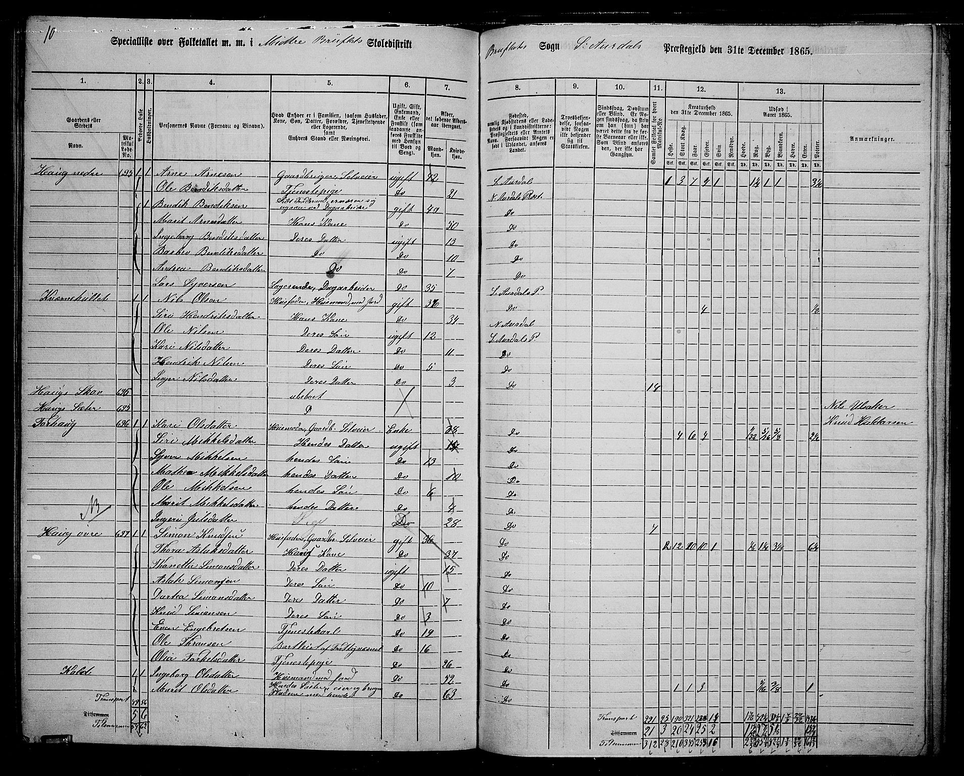 RA, Folketelling 1865 for 0540P Sør-Aurdal prestegjeld, 1865, s. 226