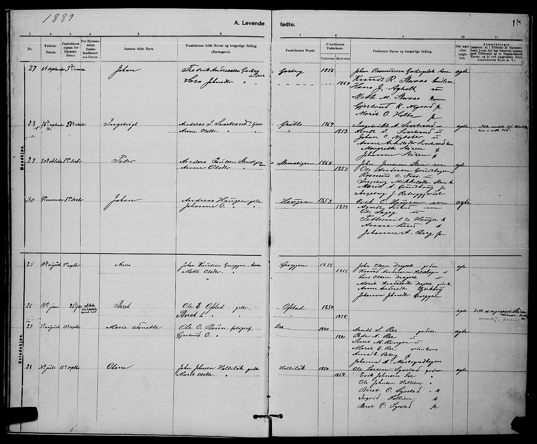 Ministerialprotokoller, klokkerbøker og fødselsregistre - Sør-Trøndelag, SAT/A-1456/672/L0863: Klokkerbok nr. 672C02, 1888-1901, s. 18