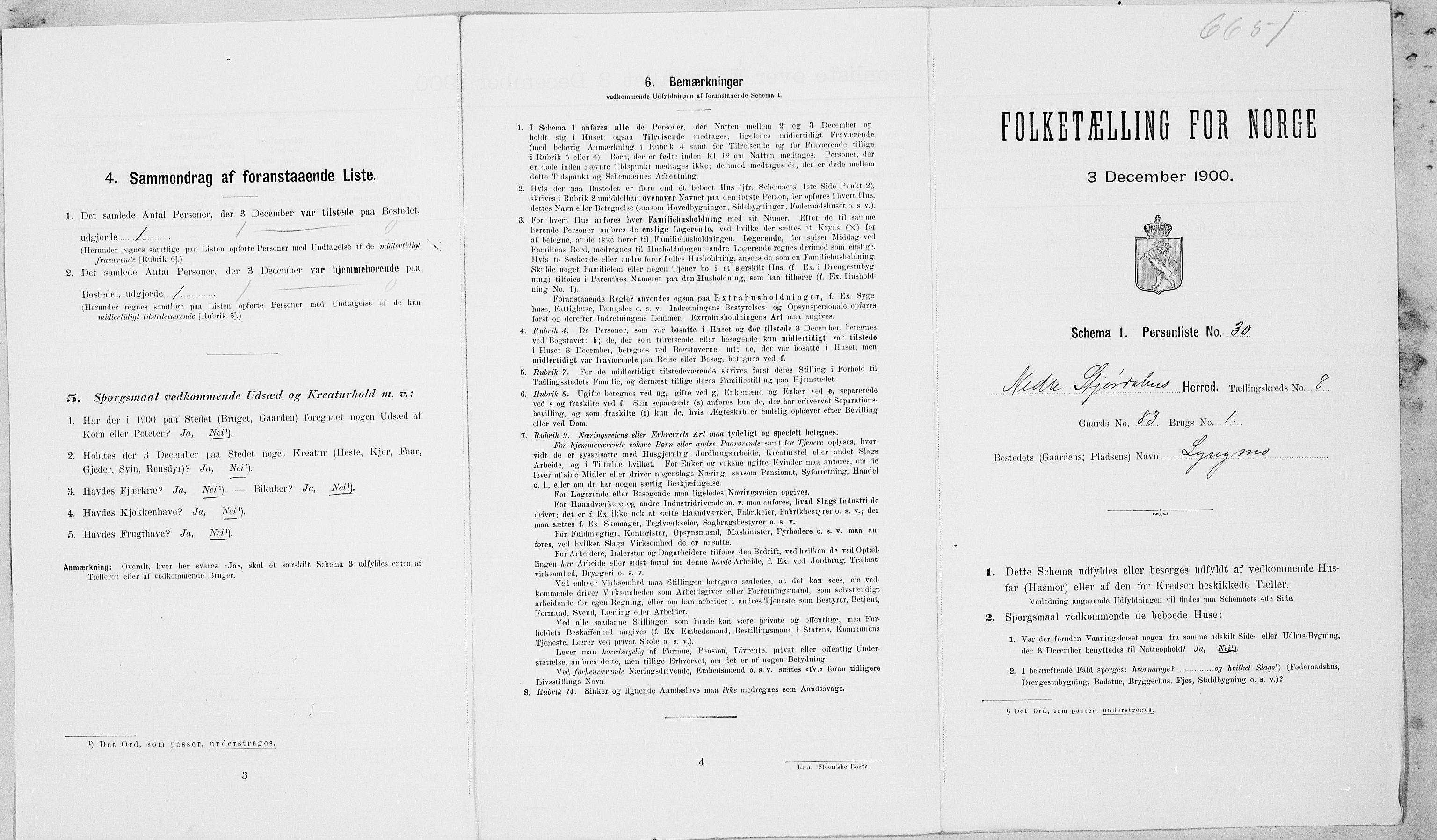 SAT, Folketelling 1900 for 1714 Nedre Stjørdal herred, 1900, s. 976