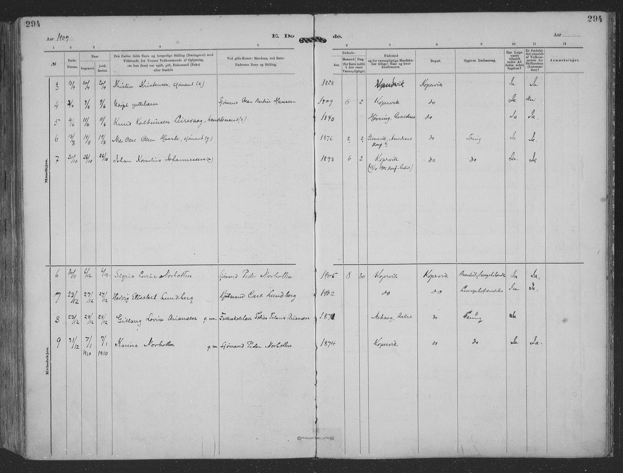 Kopervik sokneprestkontor, SAST/A-101850/H/Ha/Haa/L0001: Ministerialbok nr. A 1, 1880-1919, s. 294