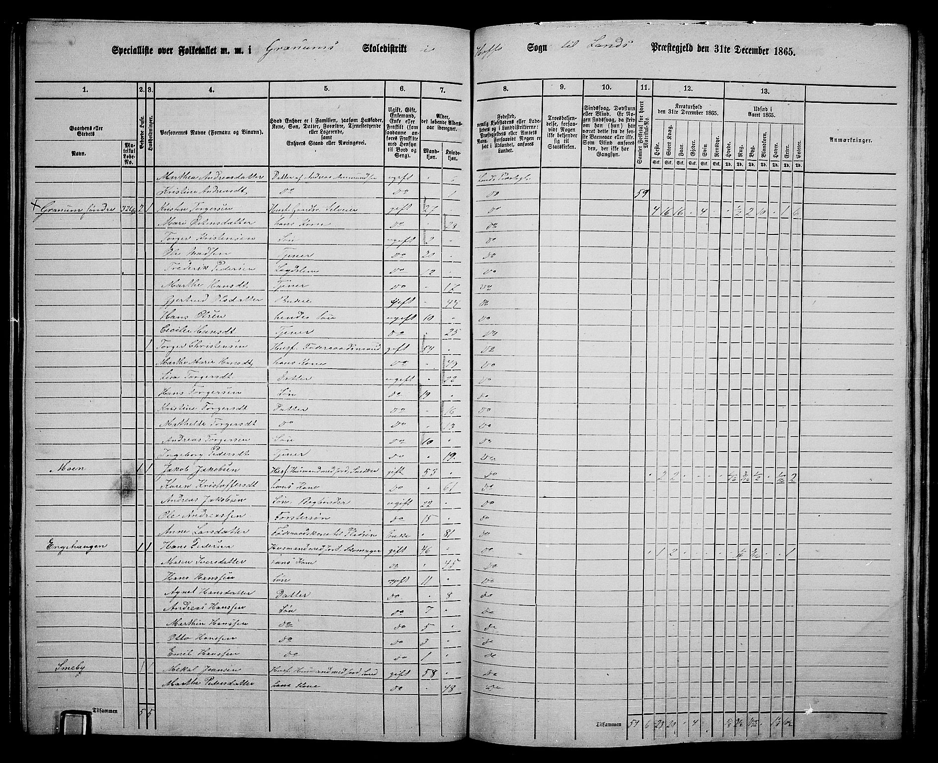 RA, Folketelling 1865 for 0536P Land prestegjeld, 1865, s. 365