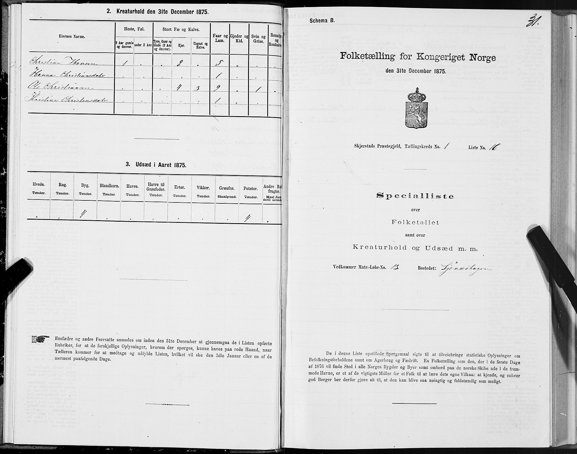 SAT, Folketelling 1875 for 1842P Skjerstad prestegjeld, 1875, s. 1031