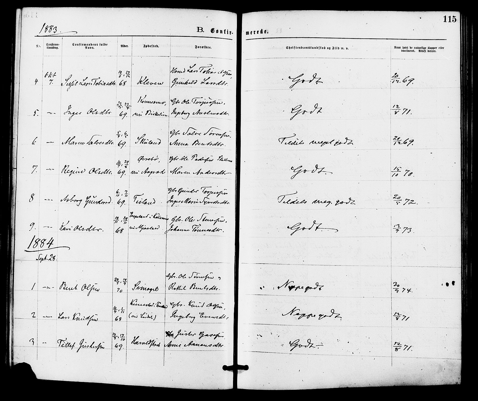 Holum sokneprestkontor, SAK/1111-0022/F/Fa/Fab/L0006: Ministerialbok nr. A 6, 1875-1886, s. 115