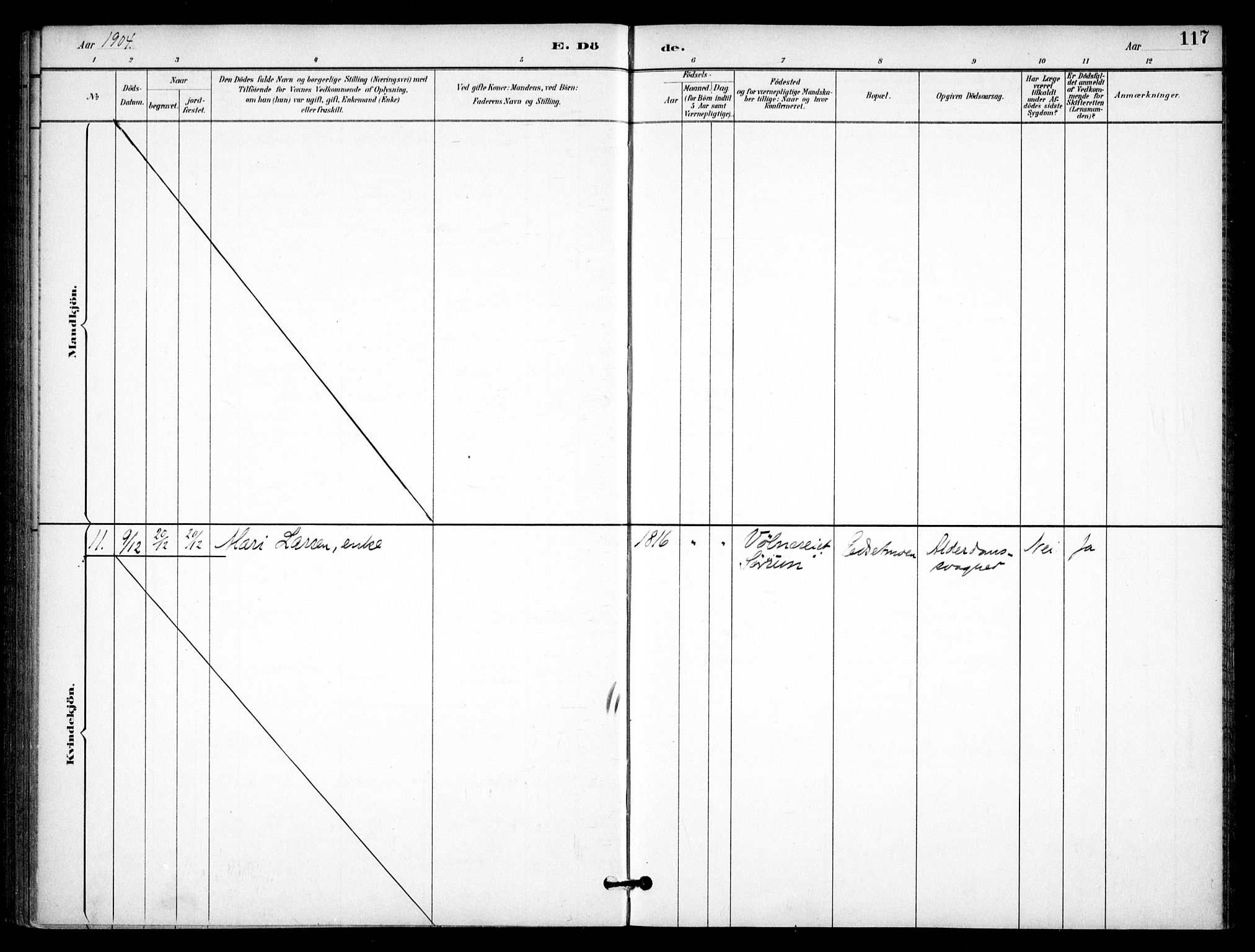 Nannestad prestekontor Kirkebøker, AV/SAO-A-10414a/F/Fb/L0002: Ministerialbok nr. II 2, 1891-1909, s. 117