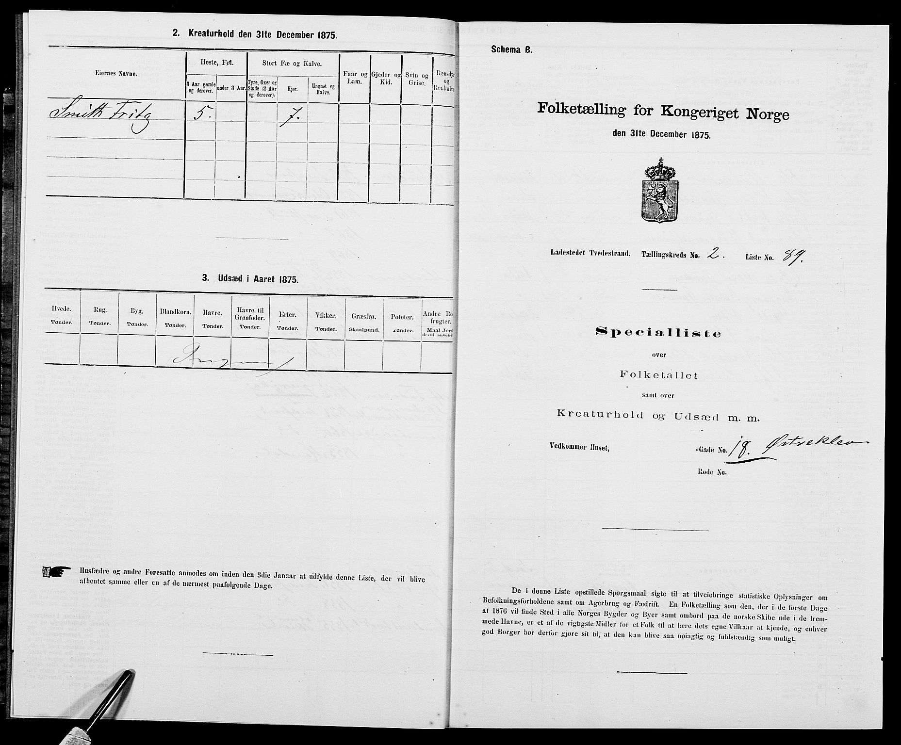 SAK, Folketelling 1875 for 0902B Holt prestegjeld, Tvedestrand ladested, 1875, s. 194