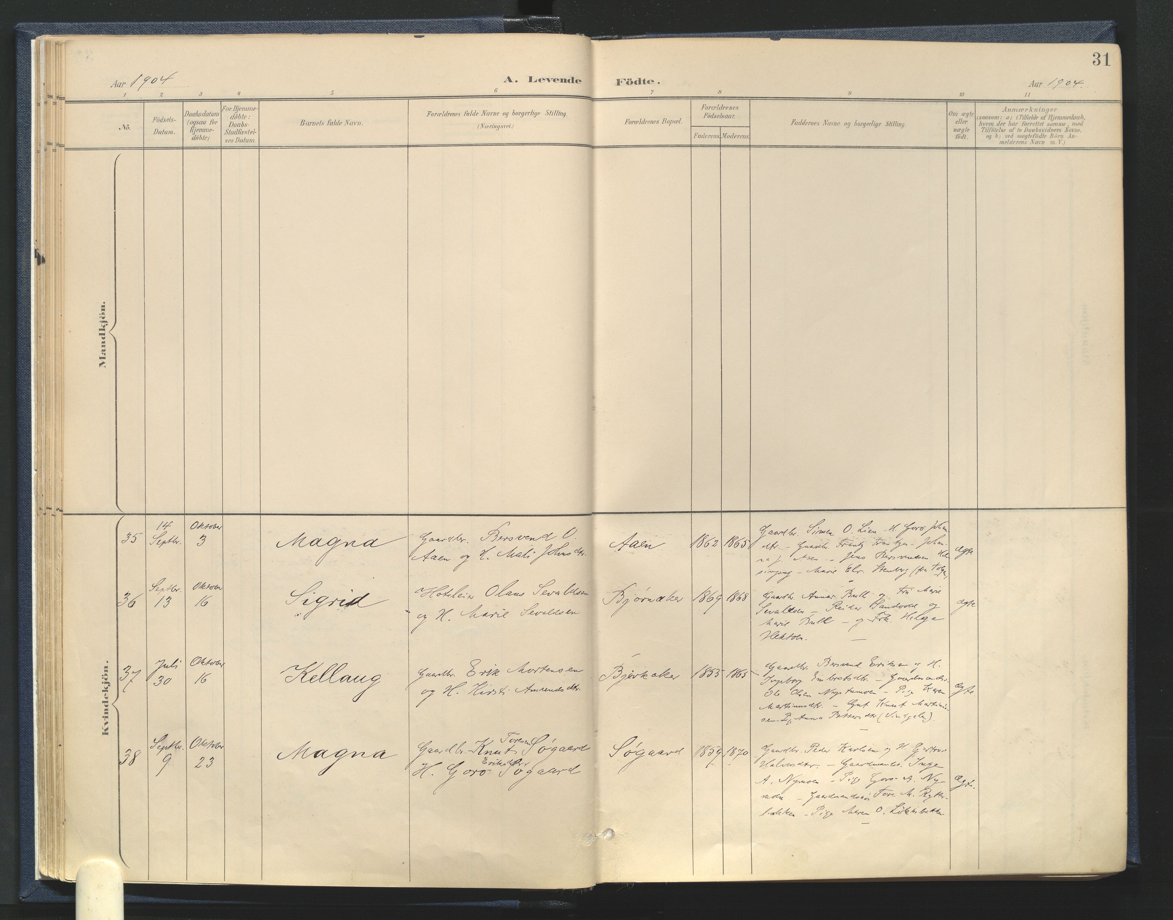 Tynset prestekontor, AV/SAH-PREST-058/H/Ha/Haa/L0025: Ministerialbok nr. 25, 1900-1914, s. 31