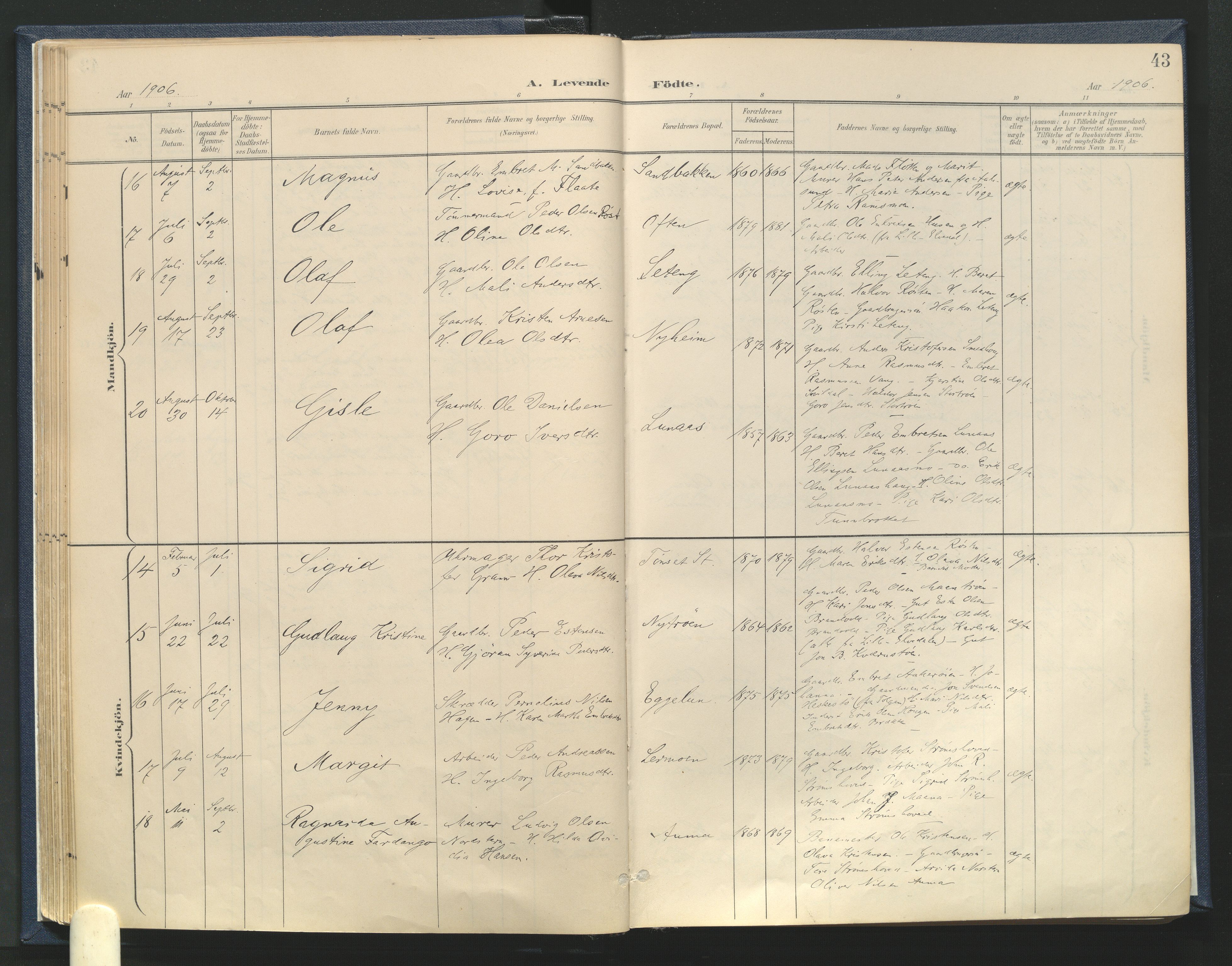 Tynset prestekontor, AV/SAH-PREST-058/H/Ha/Haa/L0025: Ministerialbok nr. 25, 1900-1914, s. 43