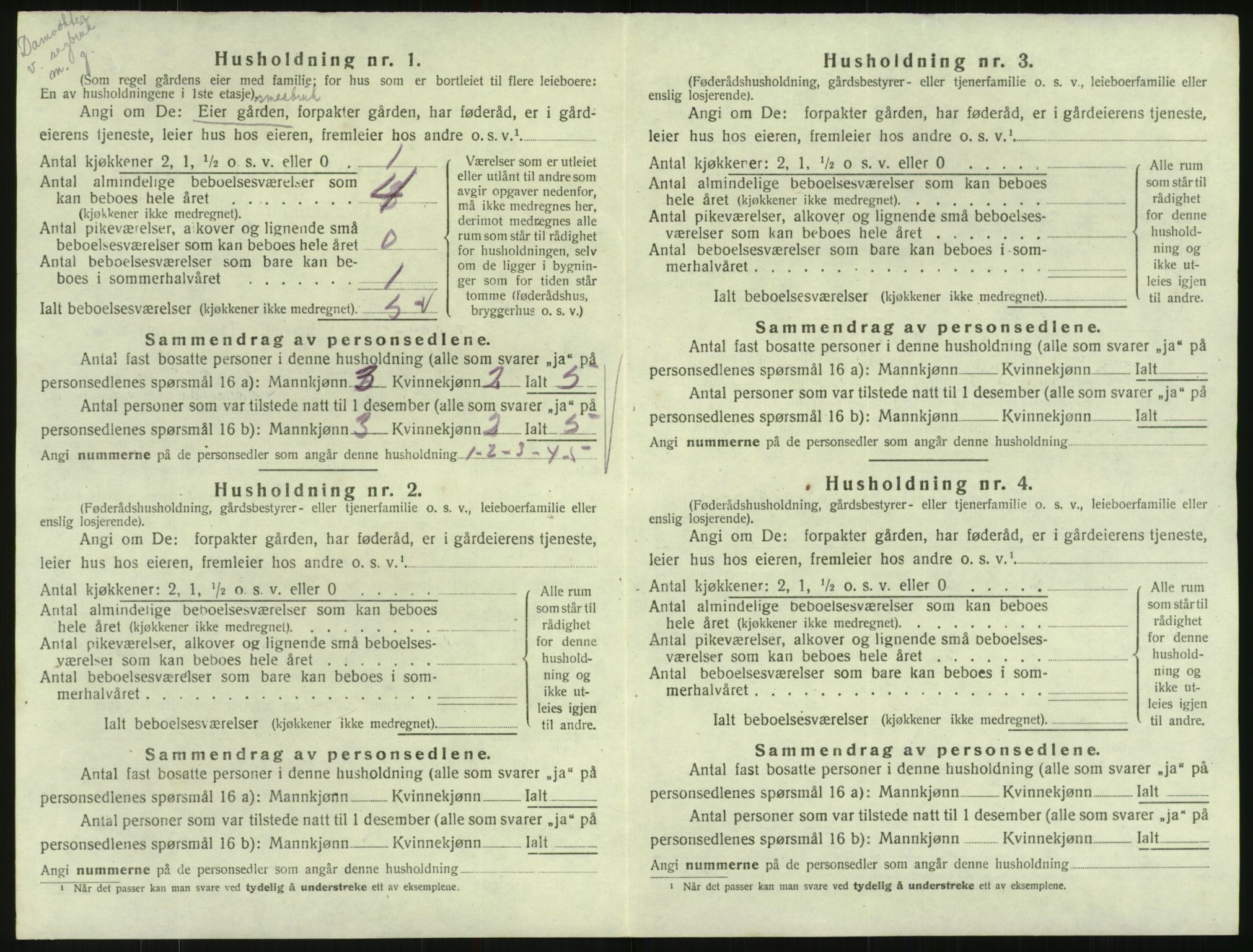 SAK, Folketelling 1920 for 0936 Hornnes herred, 1920, s. 62