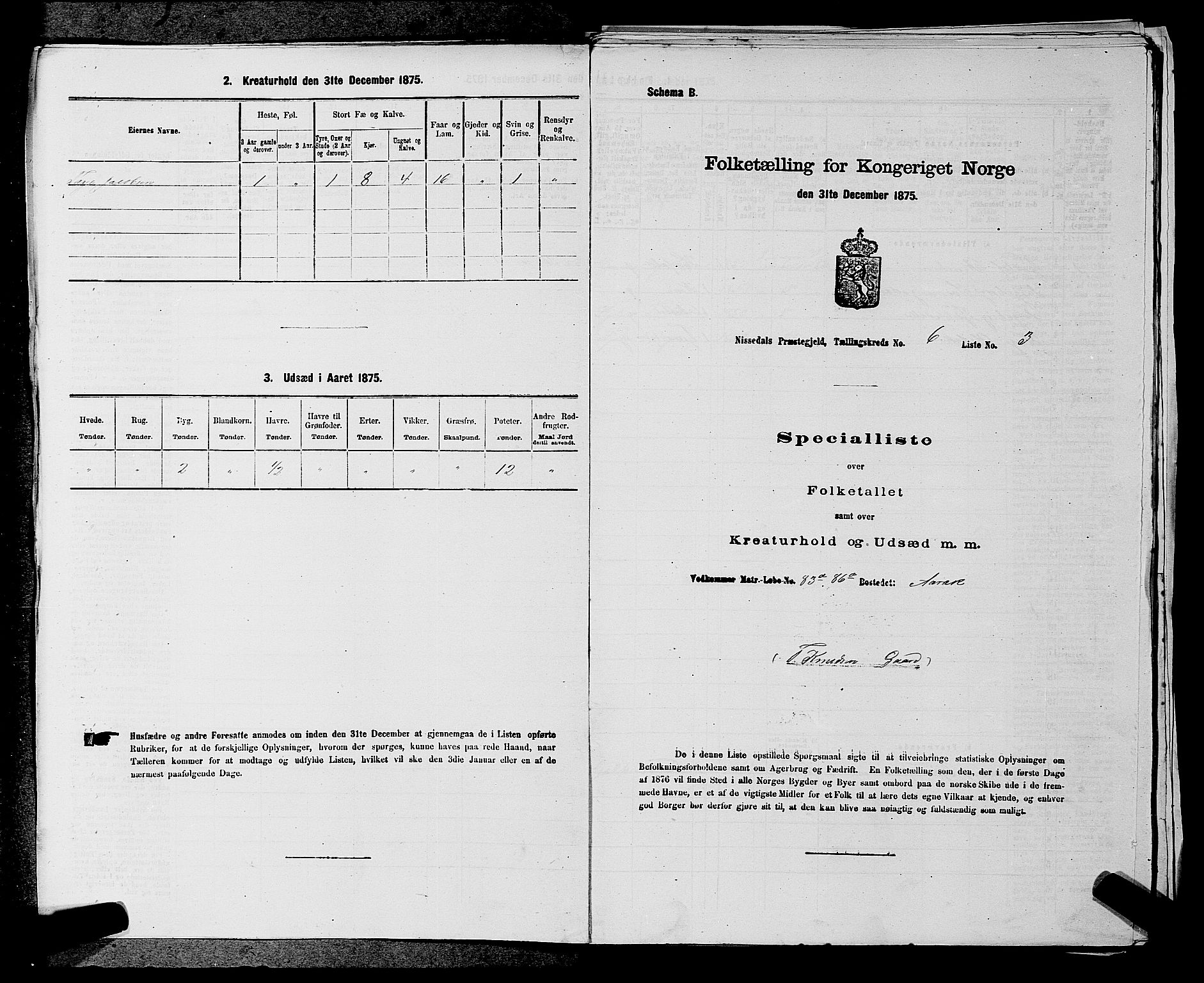 SAKO, Folketelling 1875 for 0830P Nissedal prestegjeld, 1875, s. 491