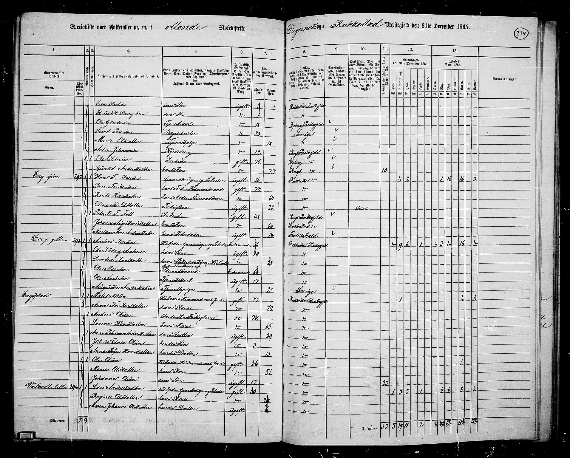 RA, Folketelling 1865 for 0128P Rakkestad prestegjeld, 1865, s. 225