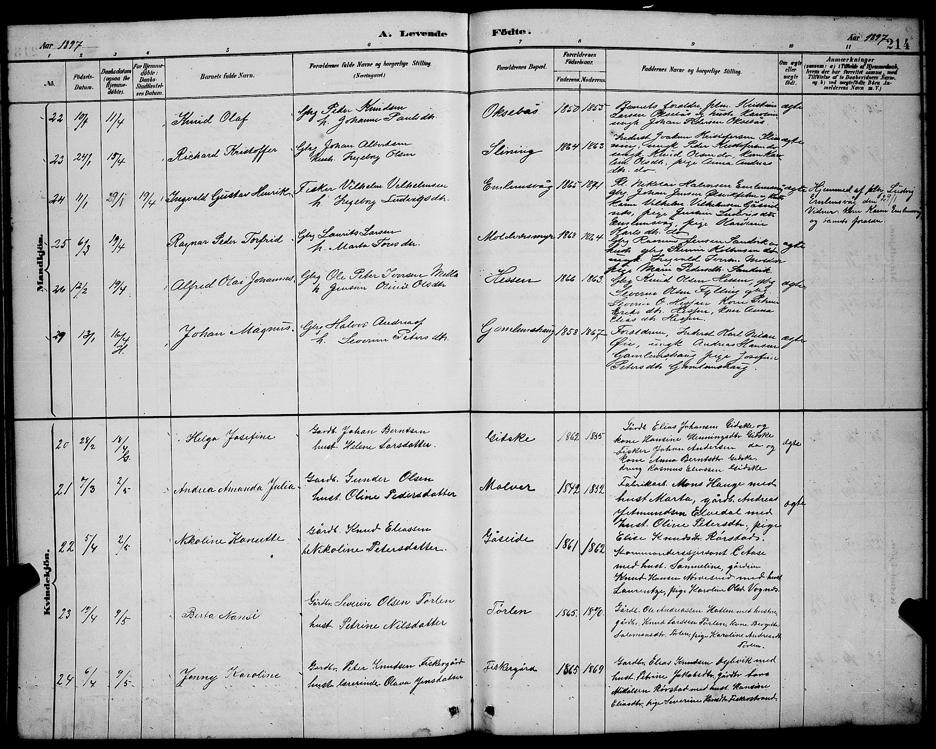 Ministerialprotokoller, klokkerbøker og fødselsregistre - Møre og Romsdal, AV/SAT-A-1454/528/L0431: Klokkerbok nr. 528C12, 1885-1898, s. 214
