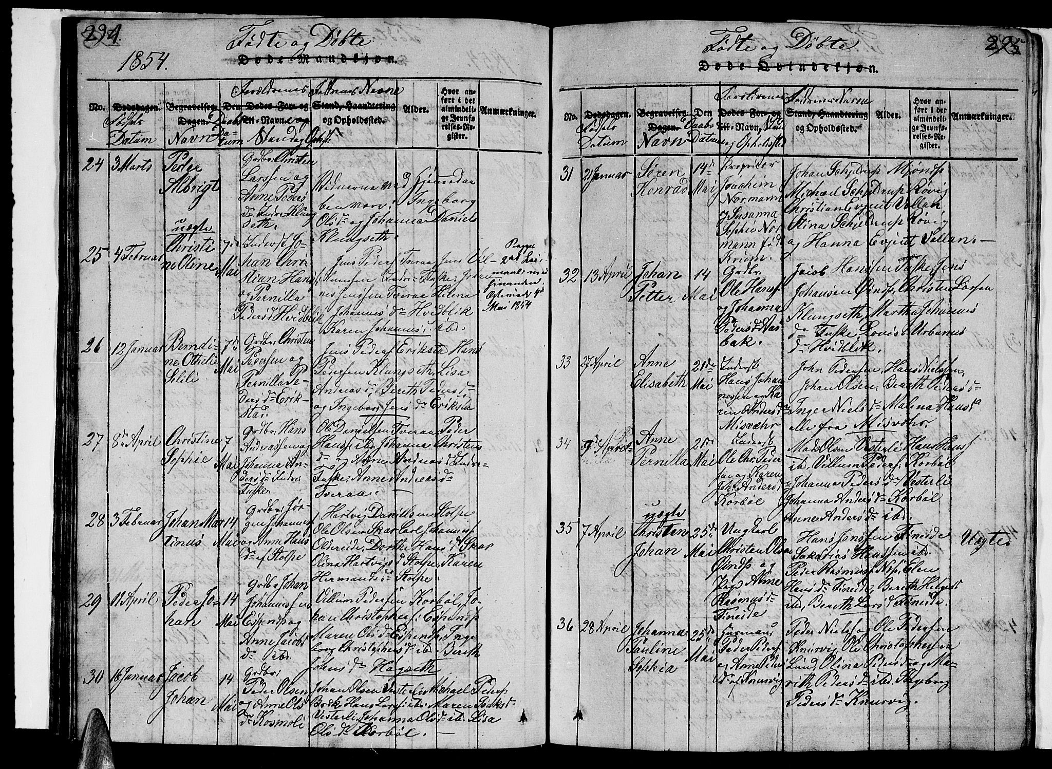 Ministerialprotokoller, klokkerbøker og fødselsregistre - Nordland, AV/SAT-A-1459/852/L0752: Klokkerbok nr. 852C03, 1840-1855, s. 294-295