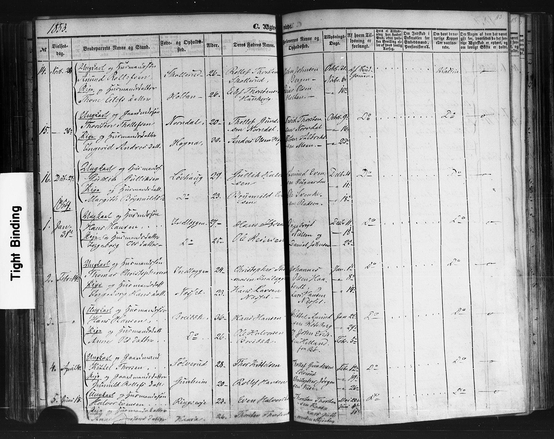 Sauherad kirkebøker, AV/SAKO-A-298/F/Fb/L0001: Ministerialbok nr. II 1, 1851-1877, s. 113