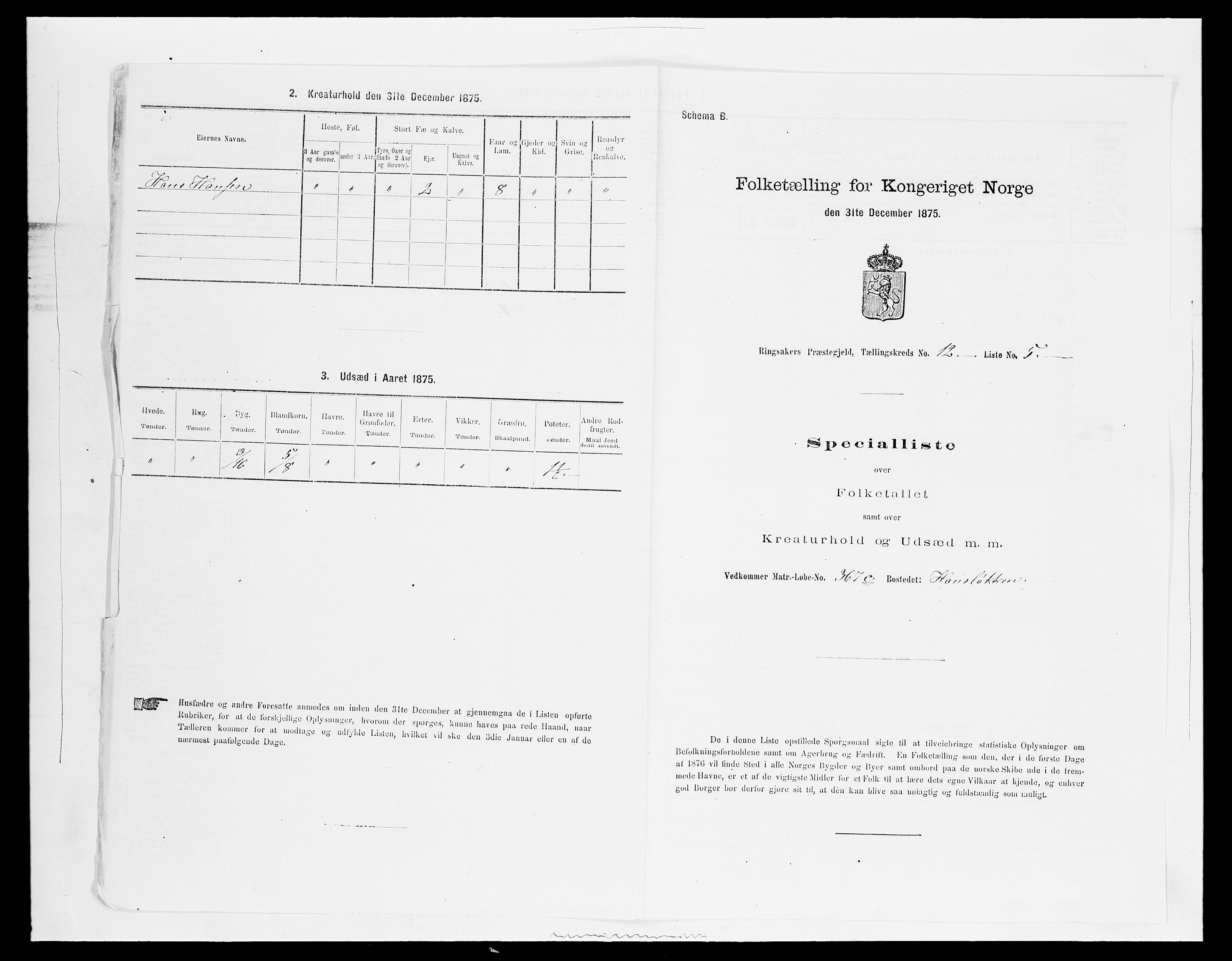 SAH, Folketelling 1875 for 0412P Ringsaker prestegjeld, 1875, s. 2419