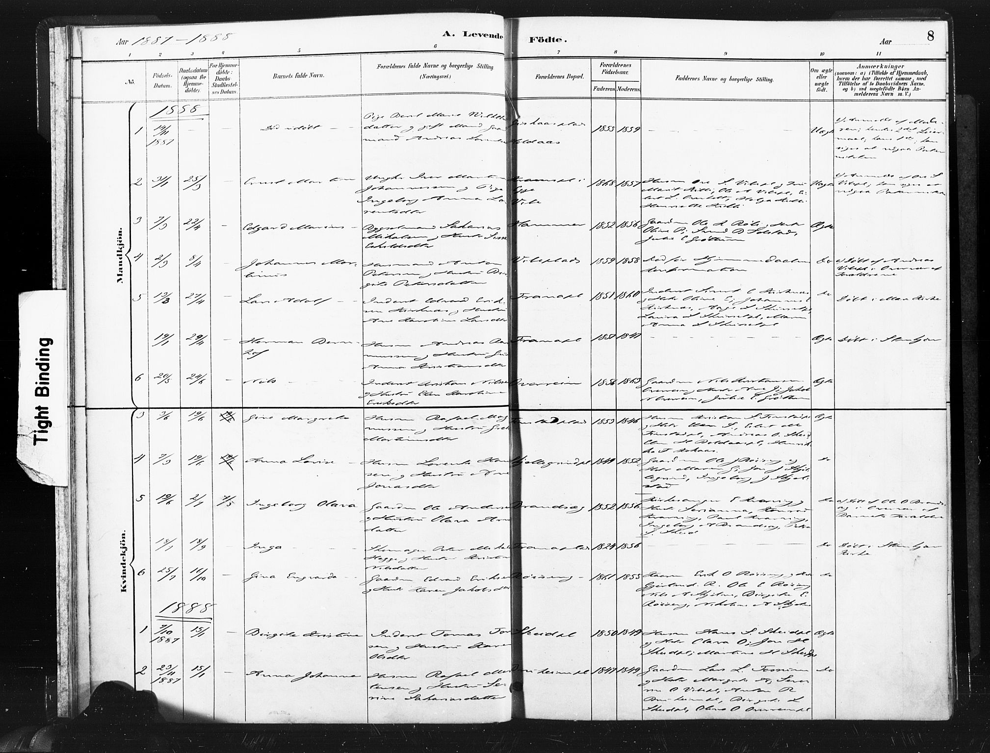 Ministerialprotokoller, klokkerbøker og fødselsregistre - Nord-Trøndelag, SAT/A-1458/736/L0361: Ministerialbok nr. 736A01, 1884-1906, s. 8