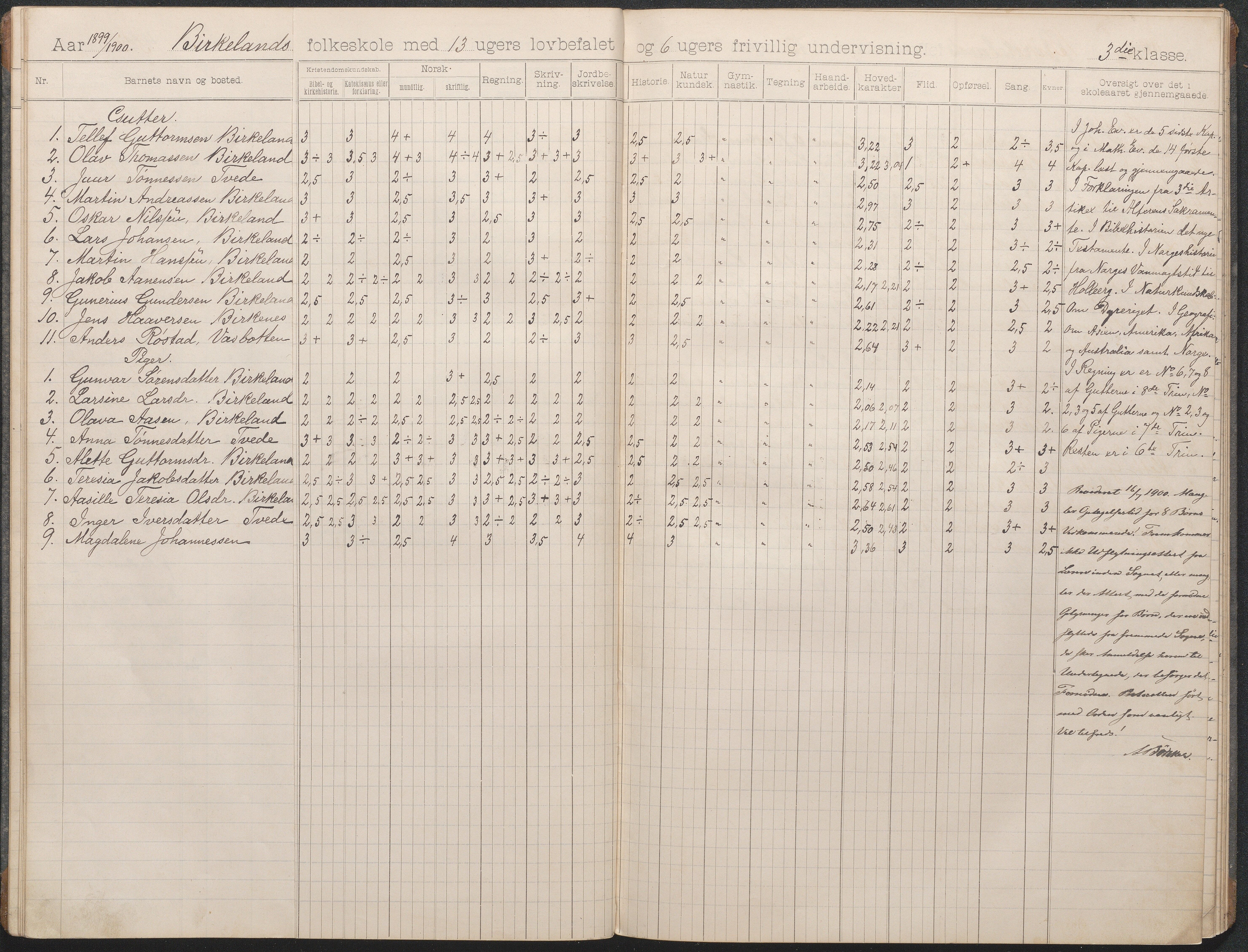 Birkenes kommune, Birkenes krets/Birkeland folkeskole frem til 1991, AAKS/KA0928-550a_91/F02/L0004: Skoleprotokoll, 1896-1907