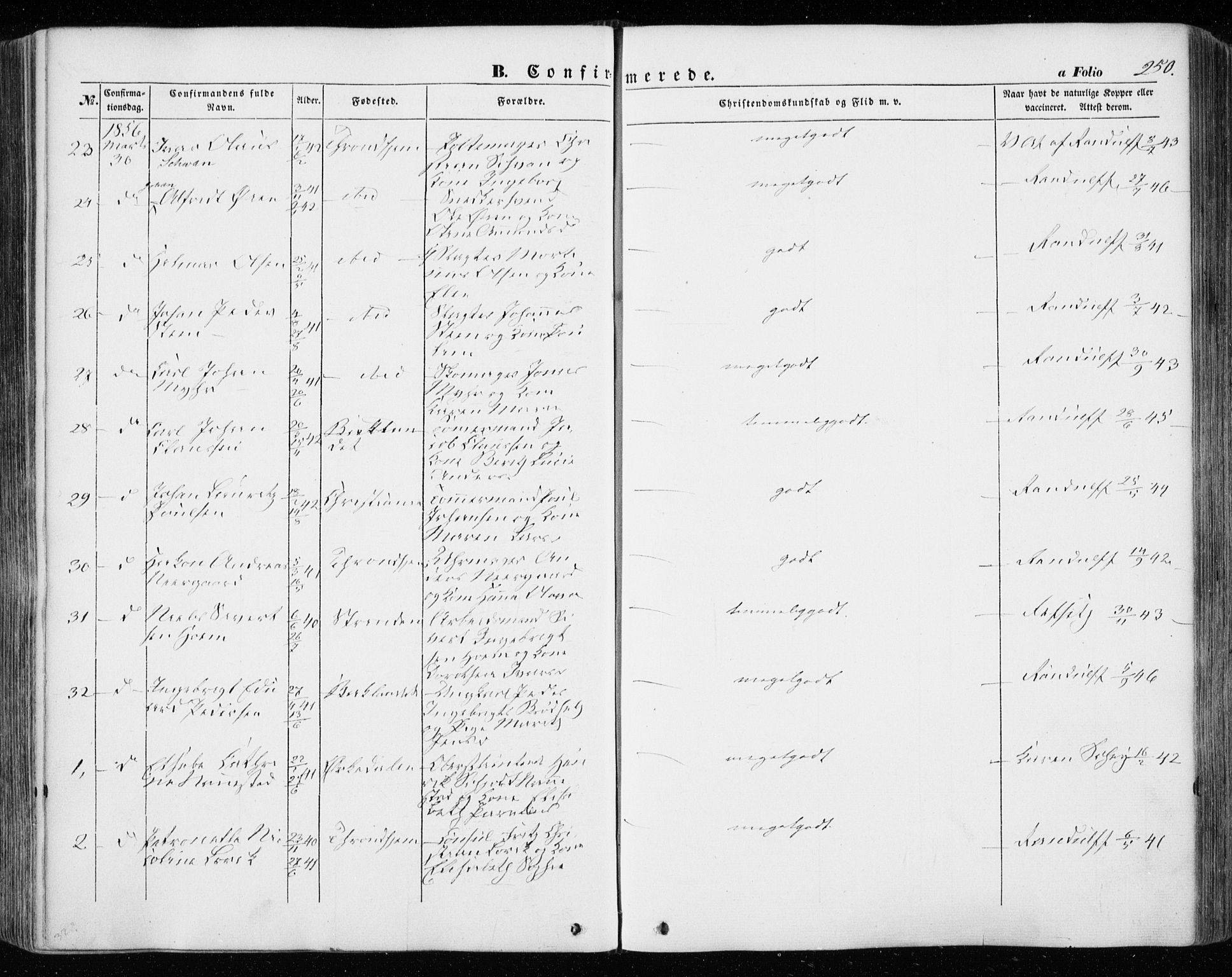 Ministerialprotokoller, klokkerbøker og fødselsregistre - Sør-Trøndelag, SAT/A-1456/601/L0051: Ministerialbok nr. 601A19, 1848-1857, s. 250