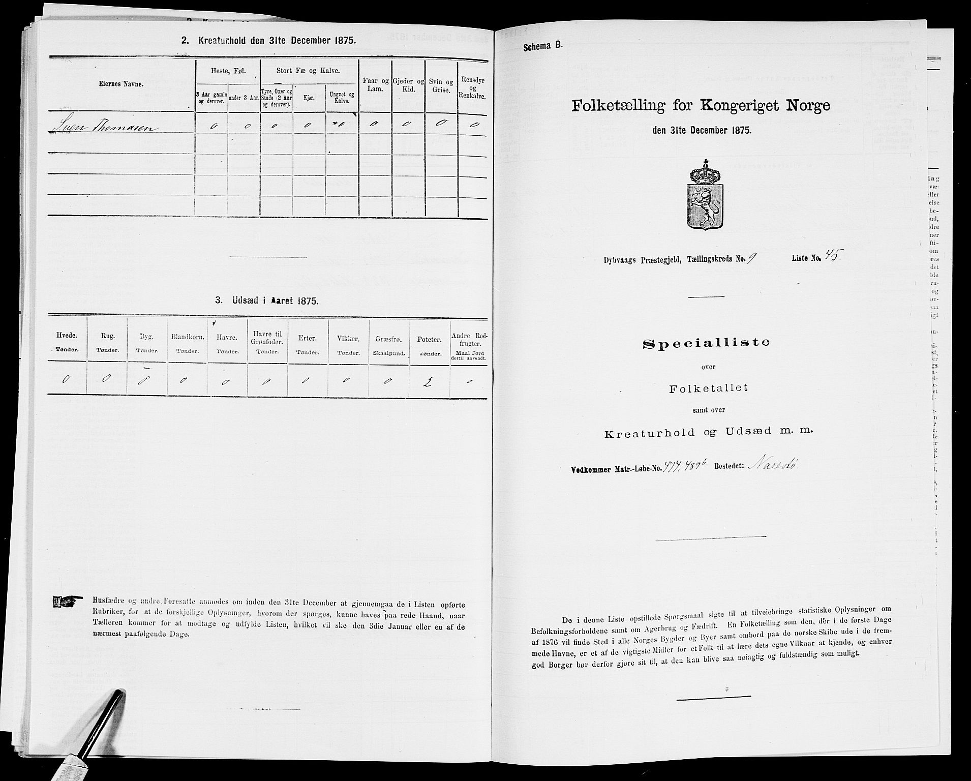 SAK, Folketelling 1875 for 0915P Dypvåg prestegjeld, 1875, s. 1200