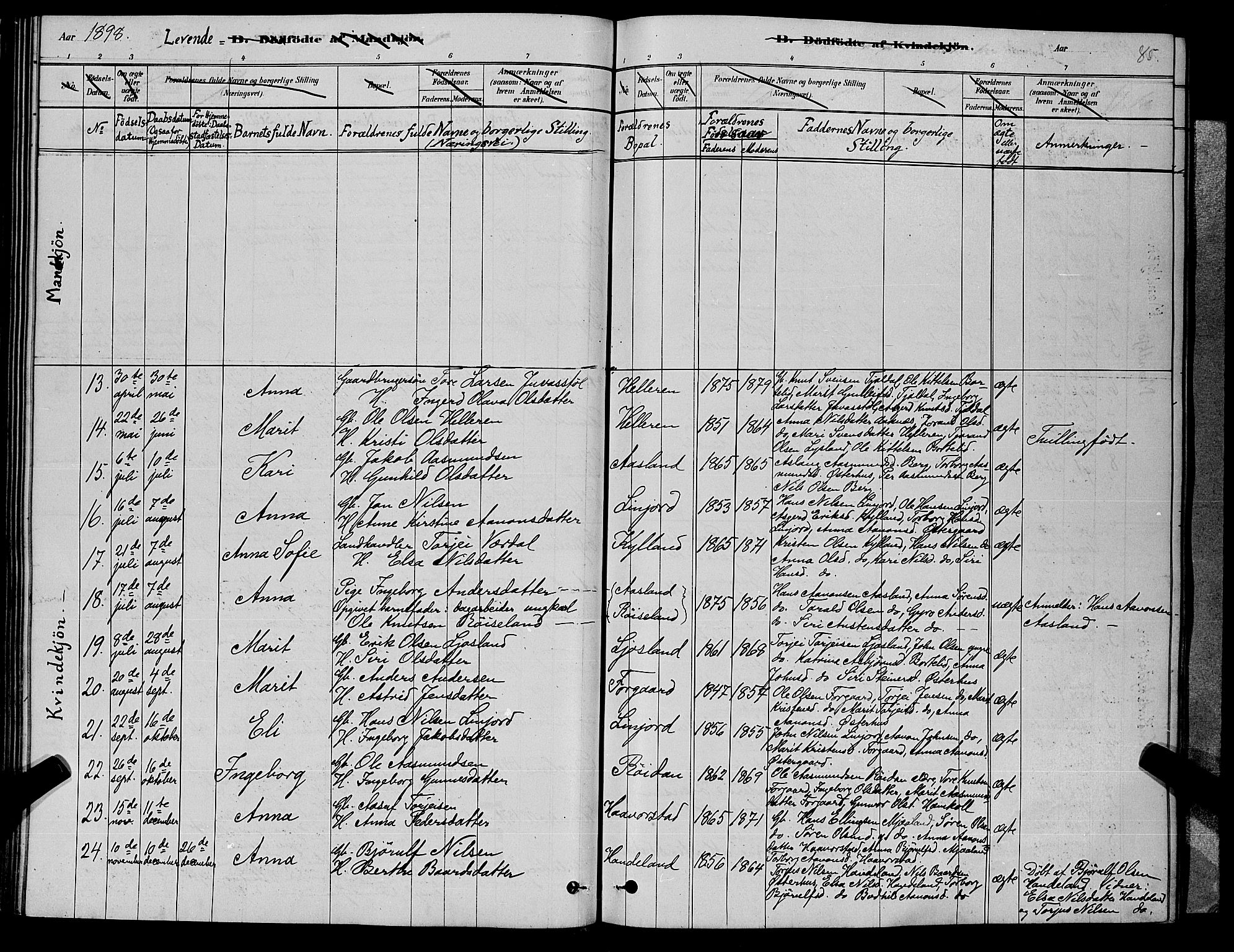 Åseral sokneprestkontor, AV/SAK-1111-0051/F/Fb/L0002: Klokkerbok nr. B 2, 1878-1899, s. 85