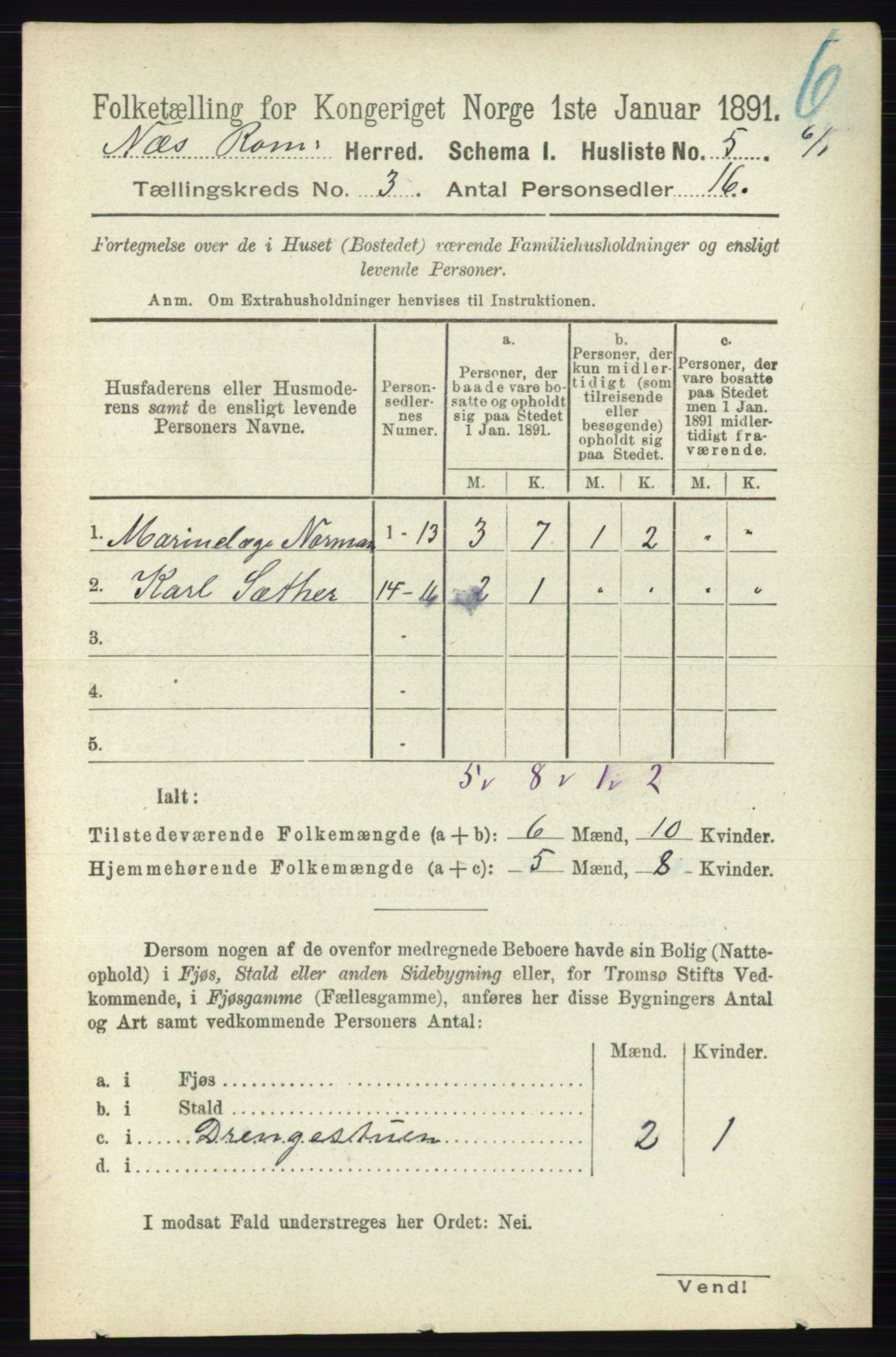 RA, Folketelling 1891 for 0236 Nes herred, 1891, s. 1494