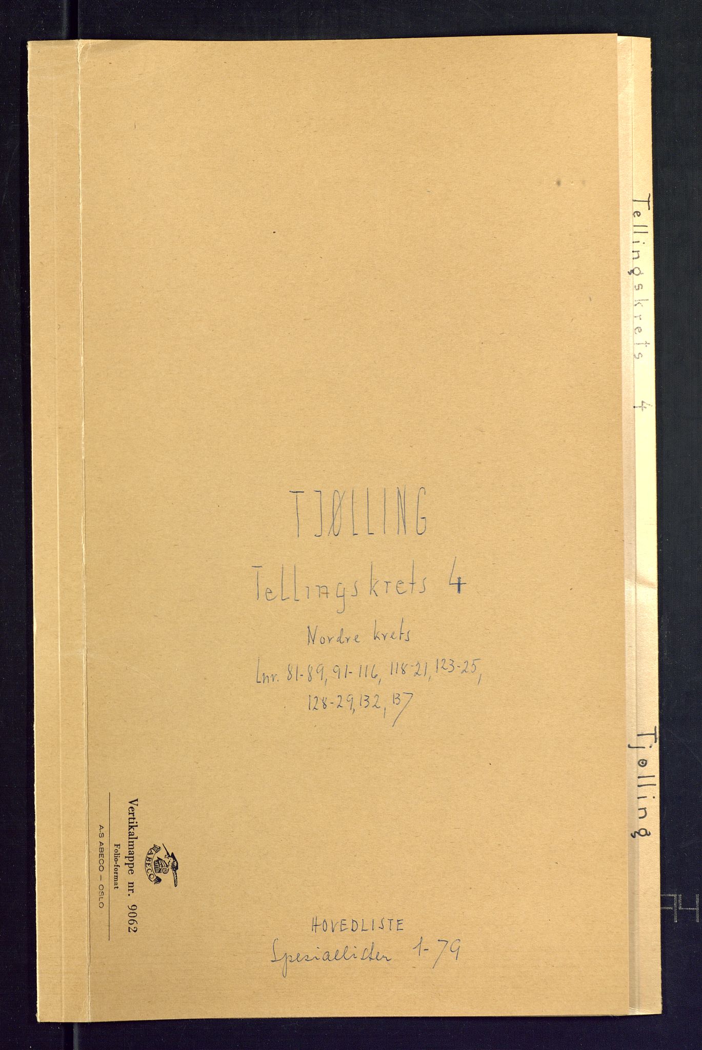 SAKO, Folketelling 1875 for 0725P Tjølling prestegjeld, 1875, s. 17