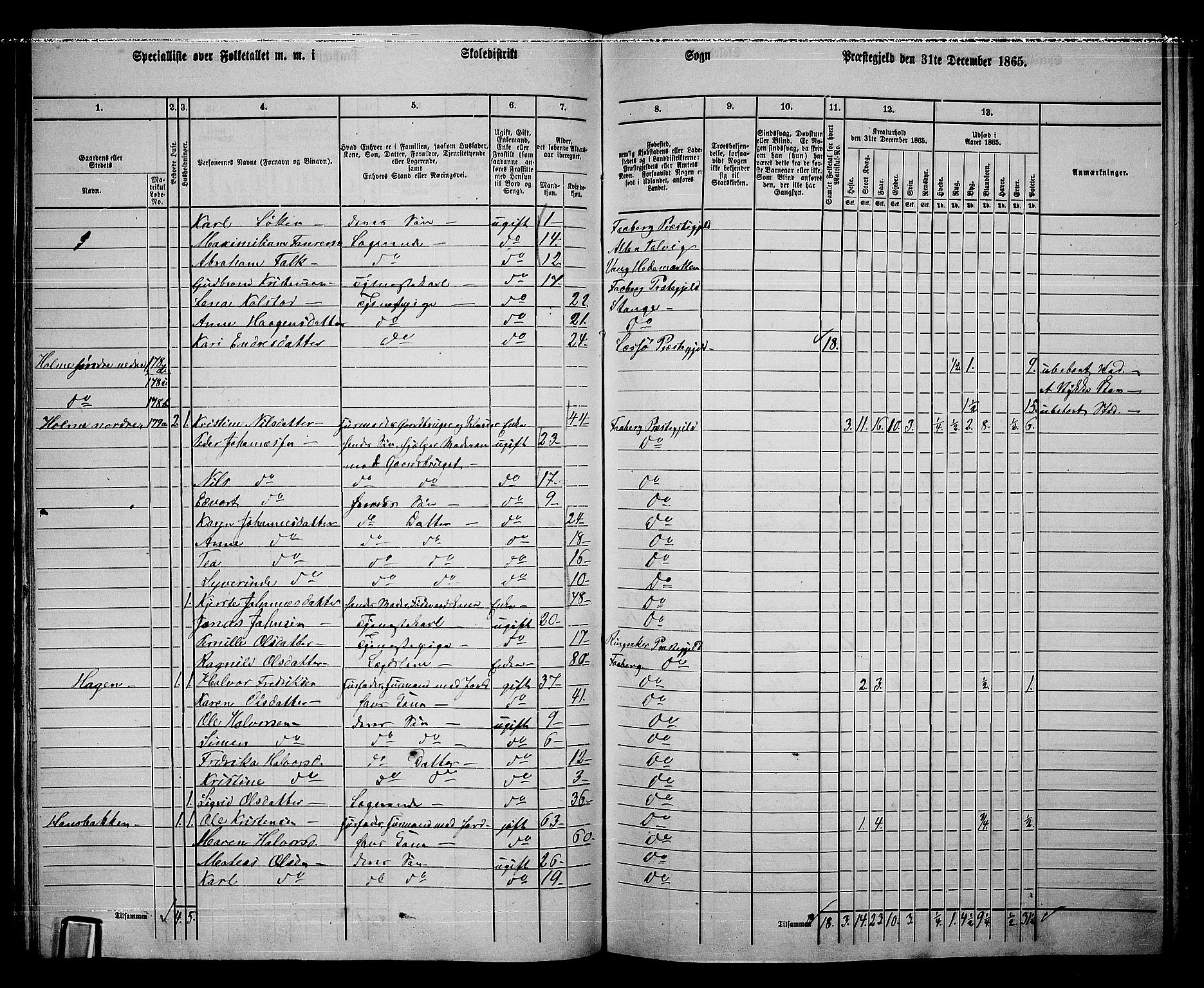 RA, Folketelling 1865 for 0524L Fåberg prestegjeld, Fåberg sokn og Lillehammer landsokn, 1865, s. 114