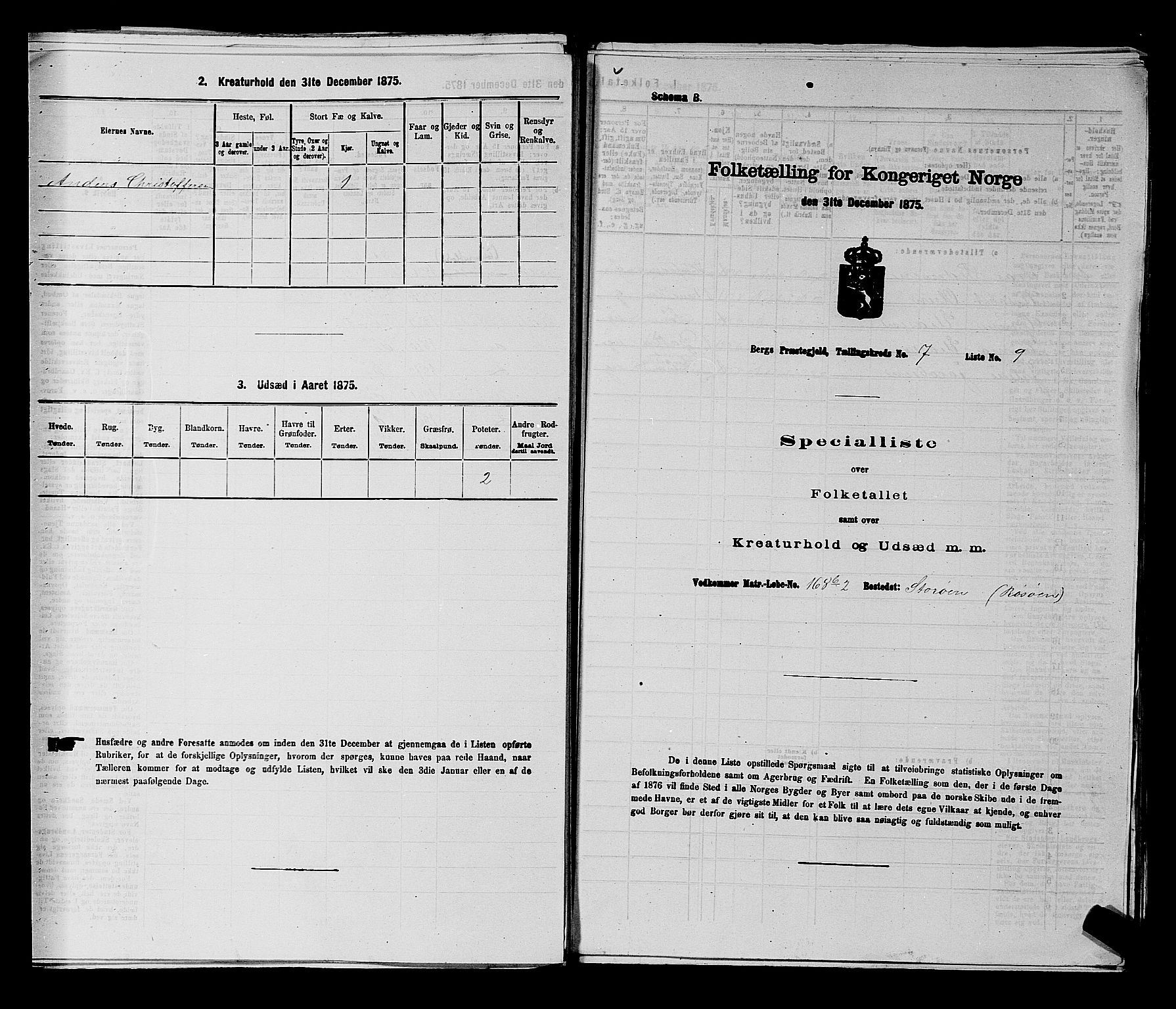 RA, Folketelling 1875 for 0116P Berg prestegjeld, 1875, s. 1135