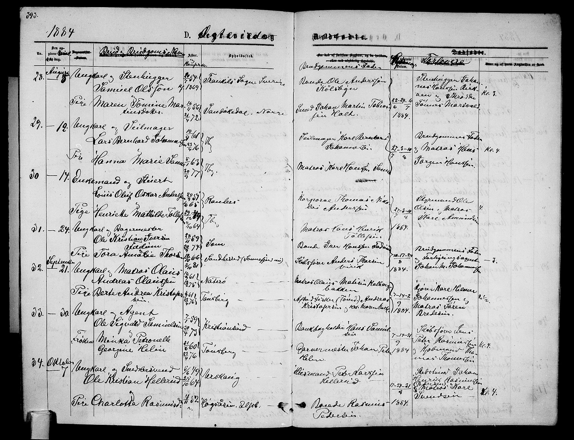 Tønsberg kirkebøker, AV/SAKO-A-330/G/Ga/L0005: Klokkerbok nr. 5, 1875-1885, s. 393