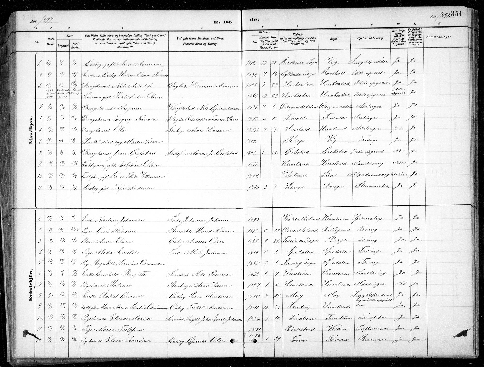 Fjære sokneprestkontor, AV/SAK-1111-0011/F/Fb/L0011: Klokkerbok nr. B 11, 1881-1905, s. 354