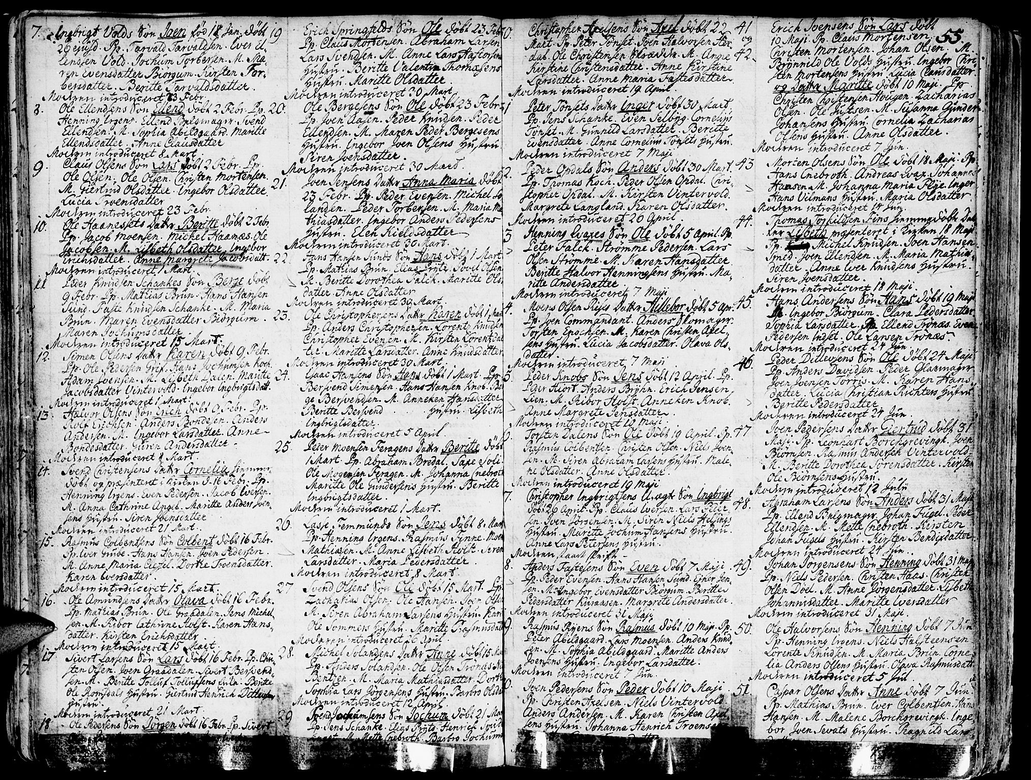 Ministerialprotokoller, klokkerbøker og fødselsregistre - Sør-Trøndelag, SAT/A-1456/681/L0925: Ministerialbok nr. 681A03, 1727-1766, s. 55