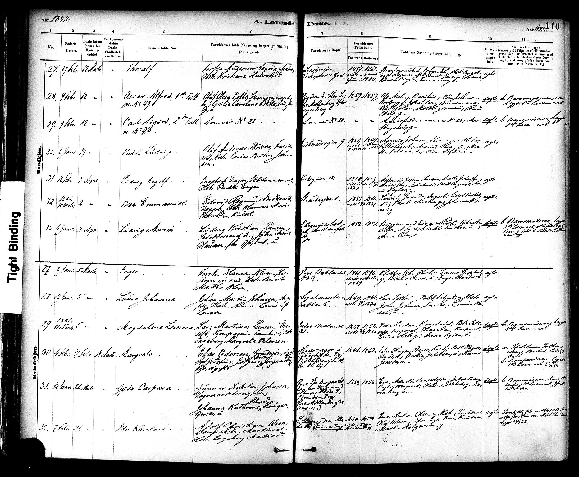 Ministerialprotokoller, klokkerbøker og fødselsregistre - Sør-Trøndelag, SAT/A-1456/604/L0188: Ministerialbok nr. 604A09, 1878-1892, s. 116