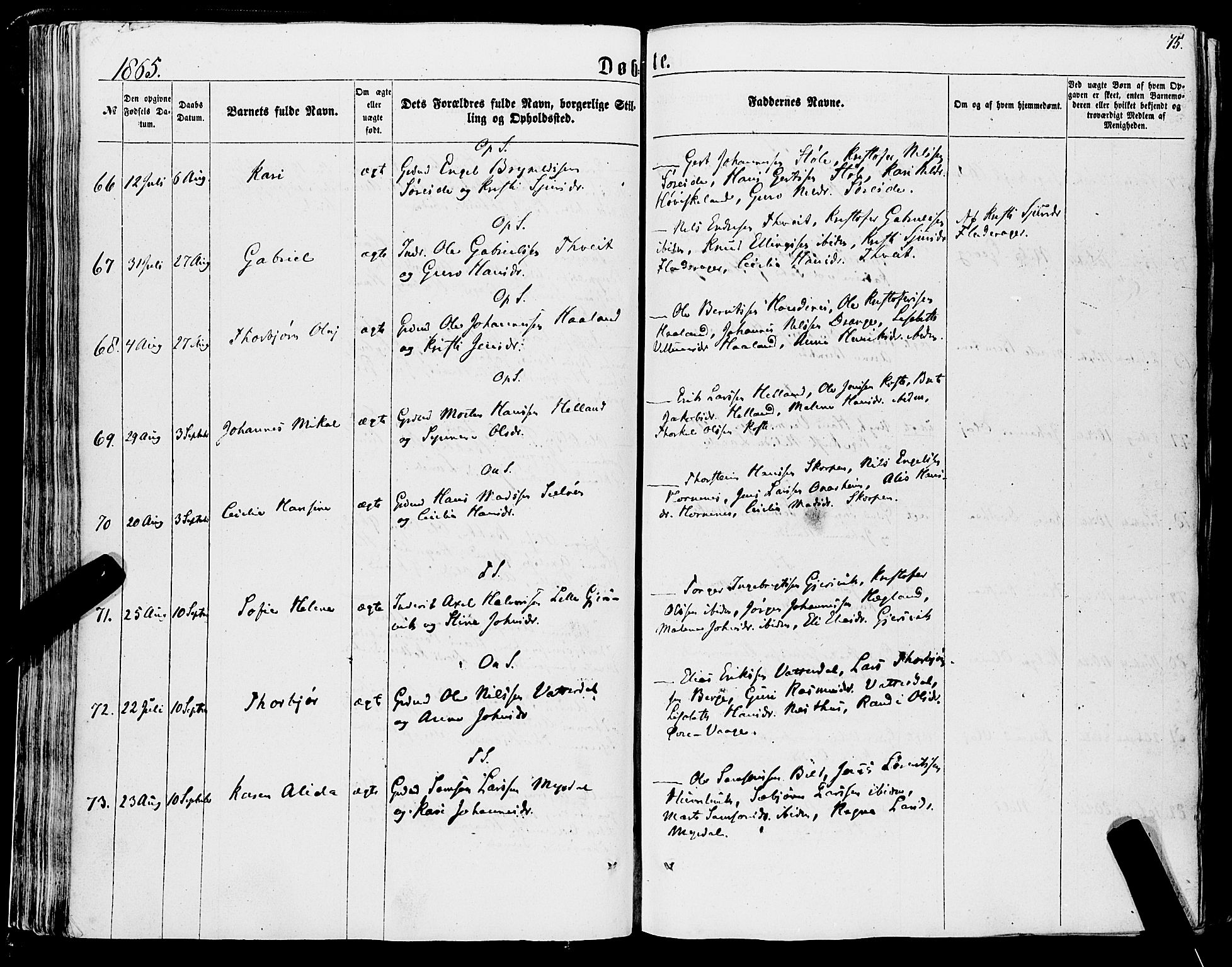 Tysnes sokneprestembete, AV/SAB-A-78601/H/Haa: Ministerialbok nr. A 11, 1860-1871, s. 75