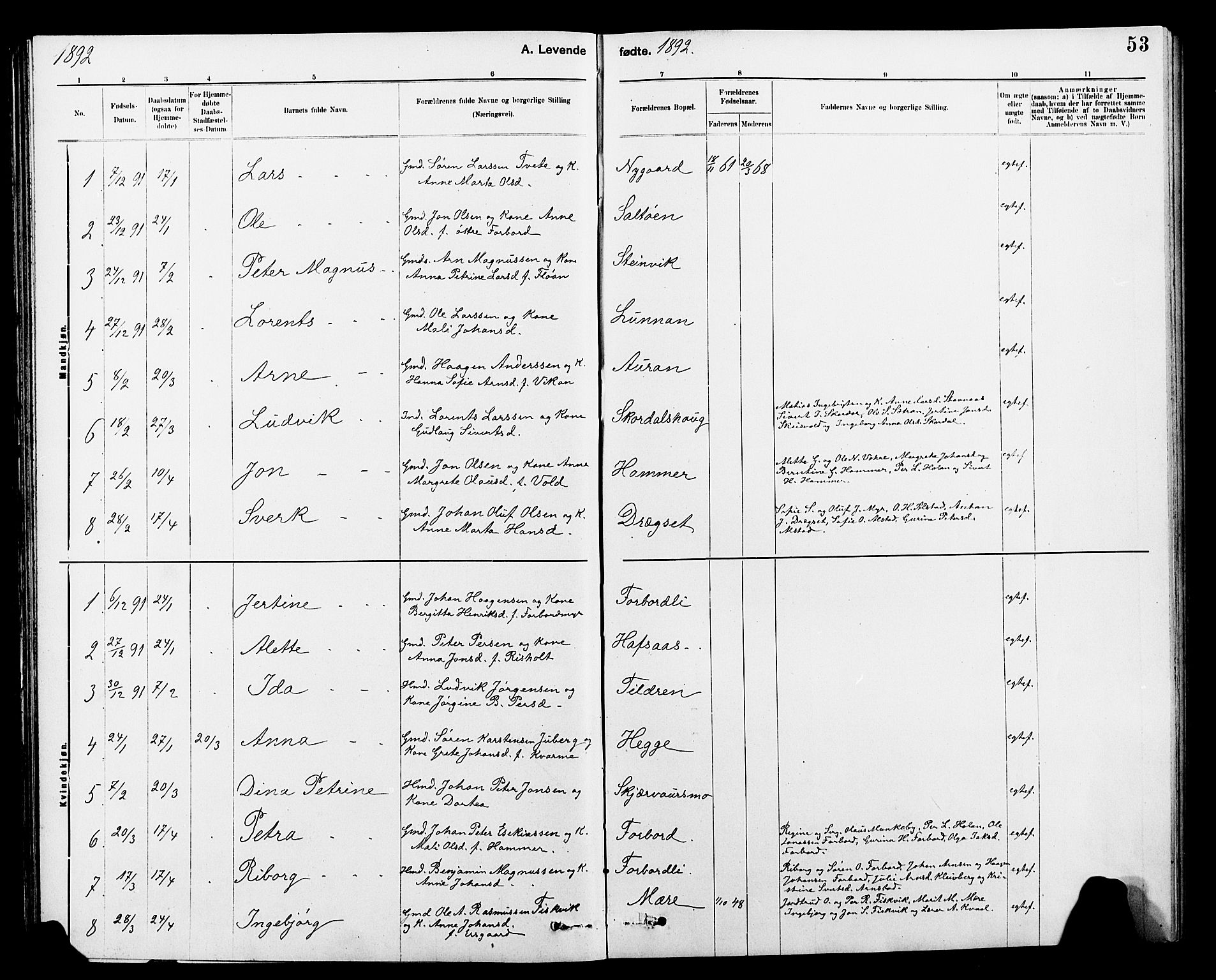 Ministerialprotokoller, klokkerbøker og fødselsregistre - Nord-Trøndelag, SAT/A-1458/712/L0103: Klokkerbok nr. 712C01, 1878-1917, s. 53
