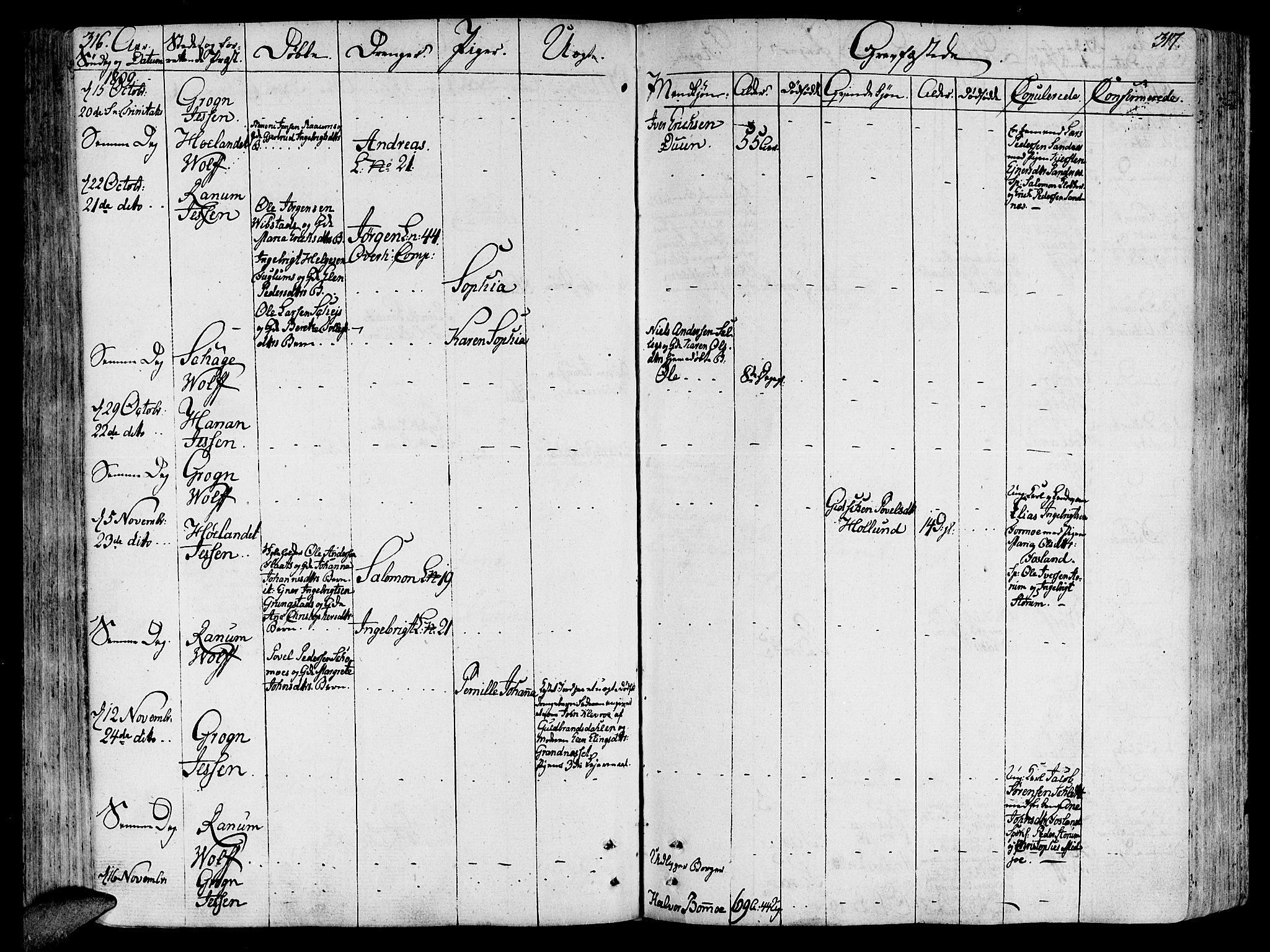 Ministerialprotokoller, klokkerbøker og fødselsregistre - Nord-Trøndelag, SAT/A-1458/764/L0545: Ministerialbok nr. 764A05, 1799-1816, s. 316-317