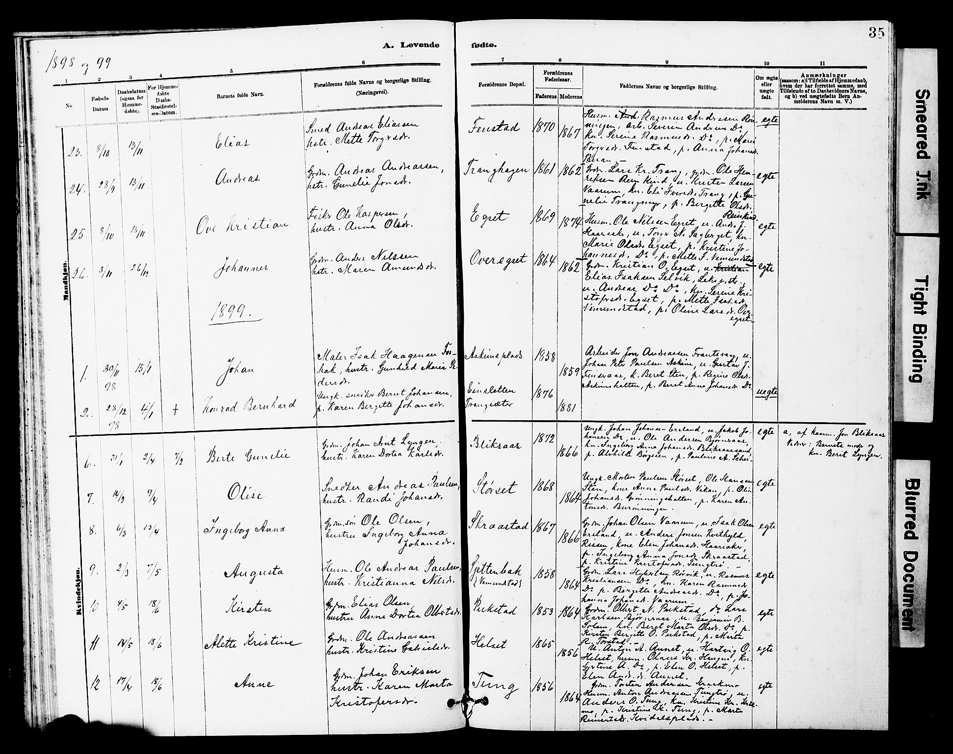 Ministerialprotokoller, klokkerbøker og fødselsregistre - Sør-Trøndelag, SAT/A-1456/646/L0628: Klokkerbok nr. 646C01, 1880-1903, s. 35