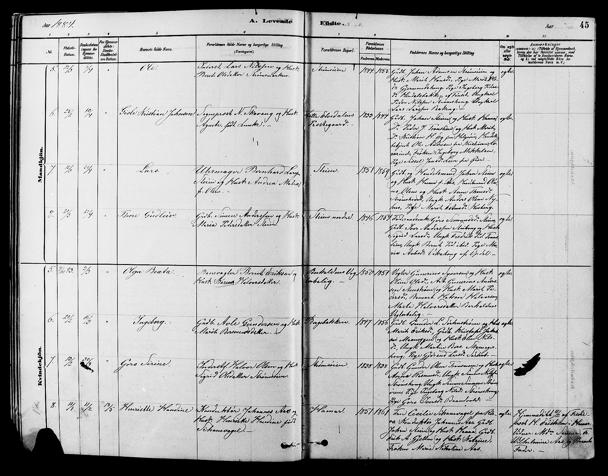 Alvdal prestekontor, AV/SAH-PREST-060/H/Ha/Hab/L0003: Klokkerbok nr. 3, 1878-1907, s. 45