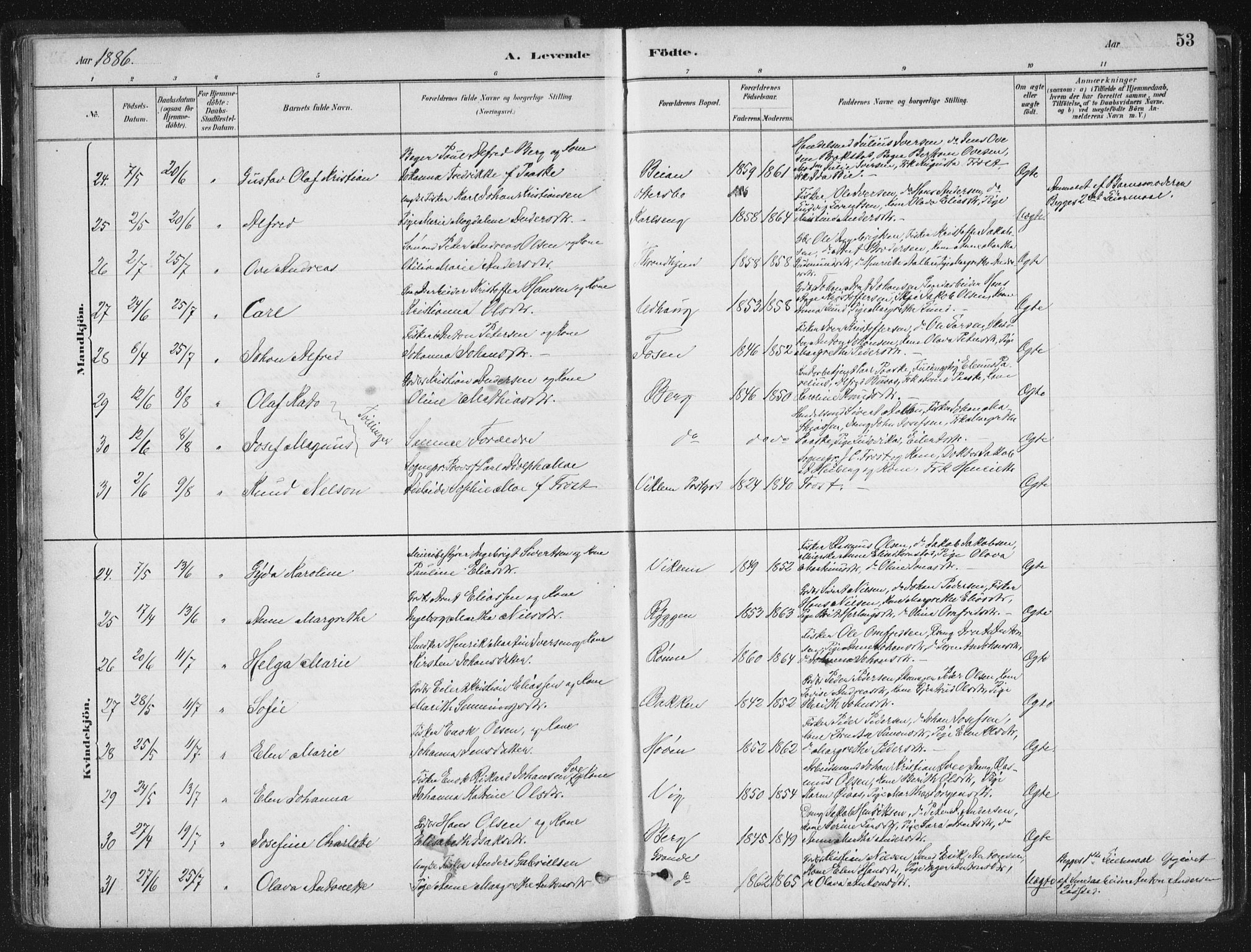 Ministerialprotokoller, klokkerbøker og fødselsregistre - Sør-Trøndelag, SAT/A-1456/659/L0739: Ministerialbok nr. 659A09, 1879-1893, s. 53
